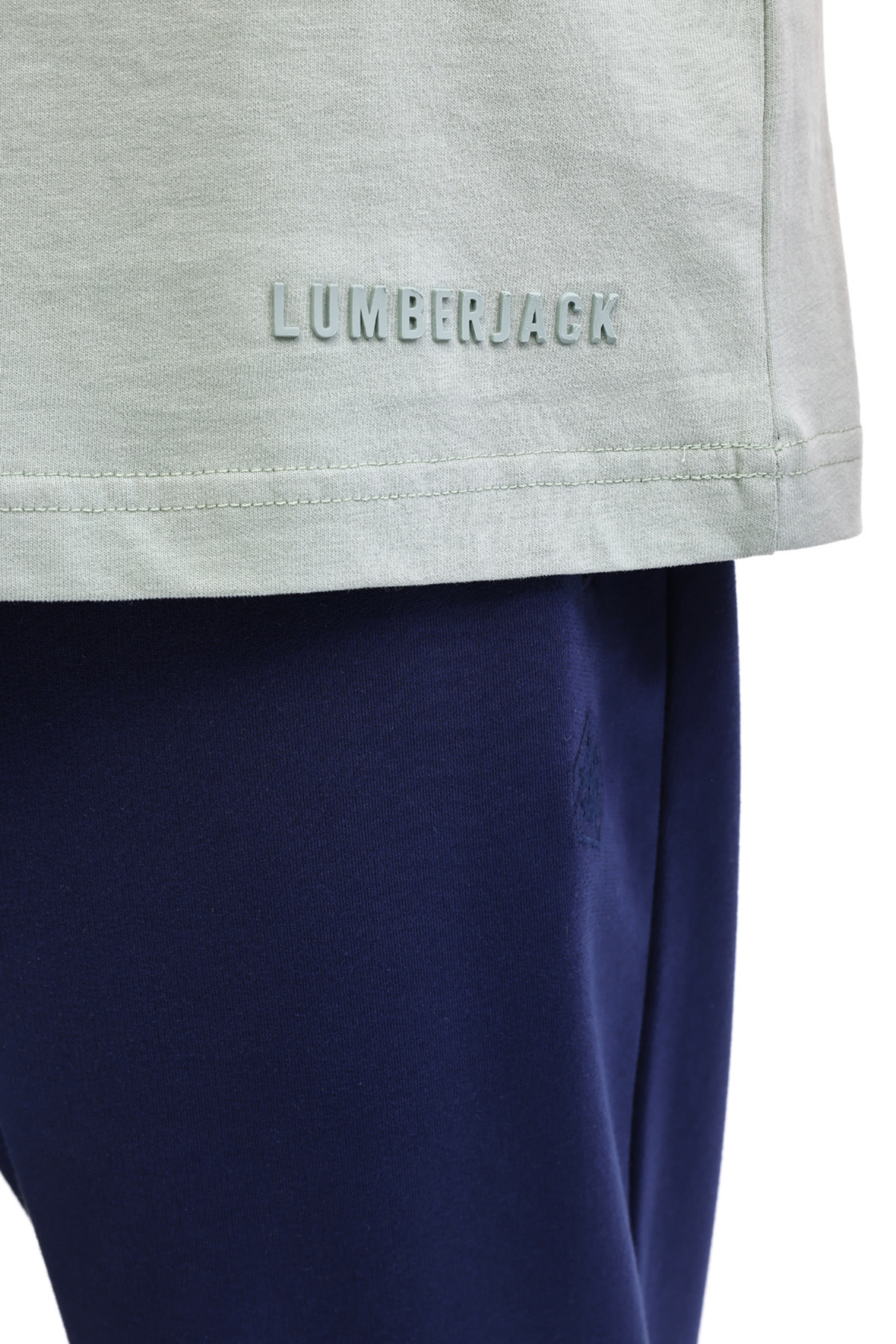 تی شرت مردانه راسته آستین کوتاه | لامبرجک Lumberjack 102024406 - تصویر 5