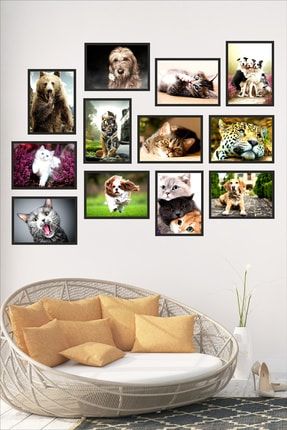 Mdf Tablo Rainbow Sevimli Kedi Köpek 12 Parça Çerçeve Görünümlü Mdf Tablo Seti - Ayı, Kaplan Tablo TB-036