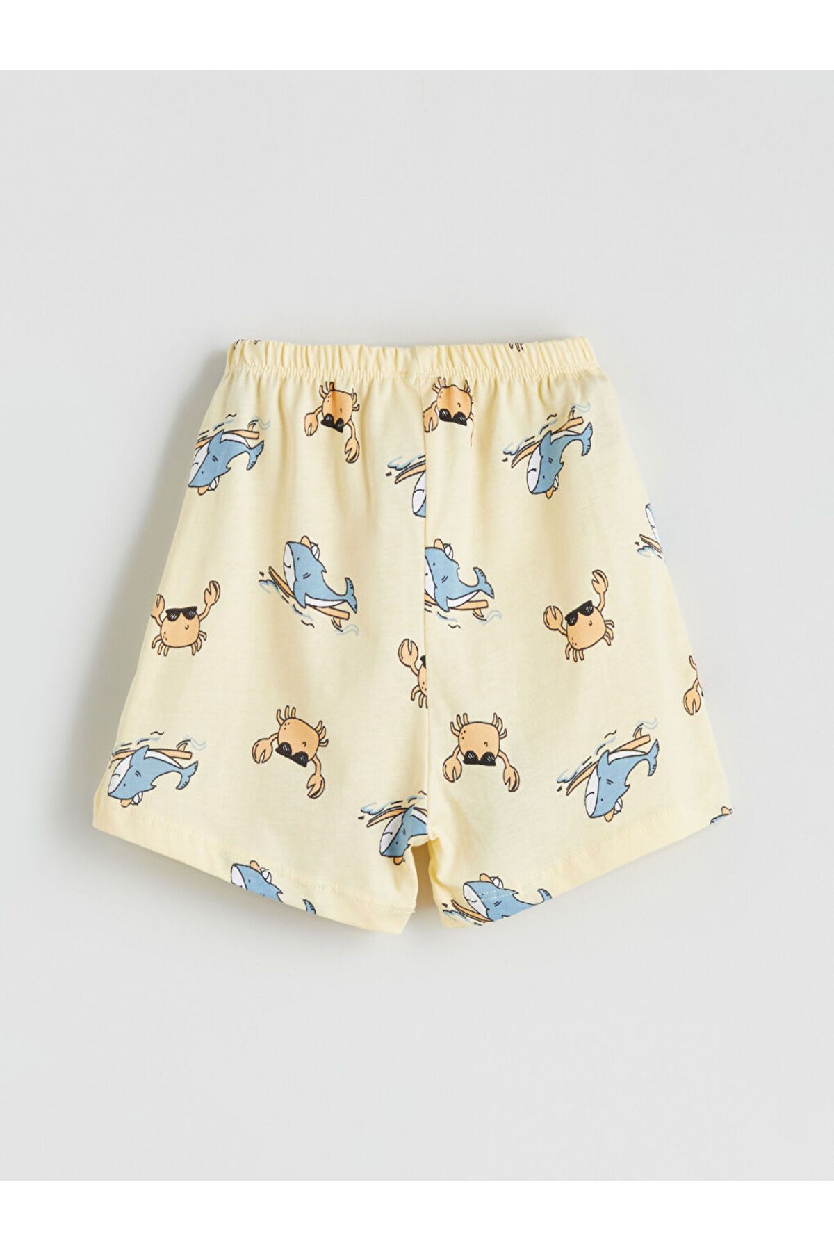 LC Waikiki-Create Your Style from Uzg Store |   Printed Baby Boy Undershirt and Shorts 2-Pack 7