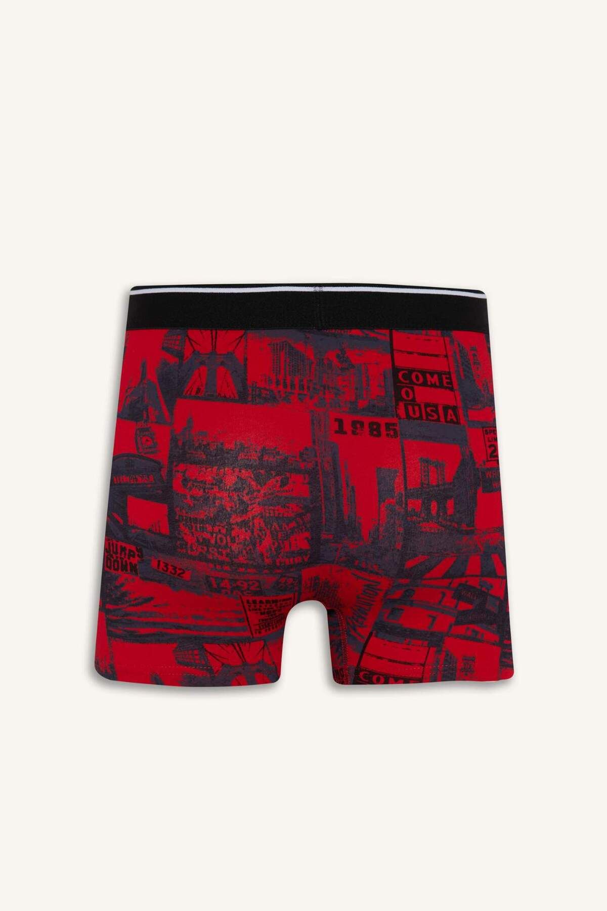 DeFacto-Regular Fit 3 τεμαχίων Boxer E0116AX24AU 3