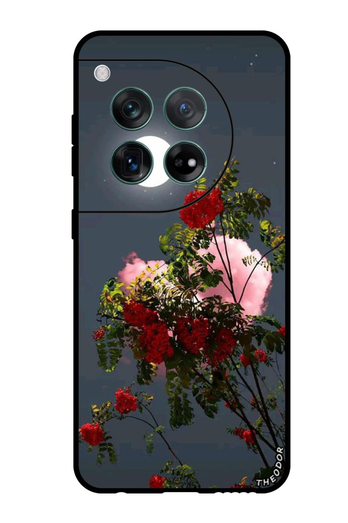 Theodor-Protective Case Anti Scratch Shock Proof Bumper Cover For OnePlus 12 Moon Shining 1