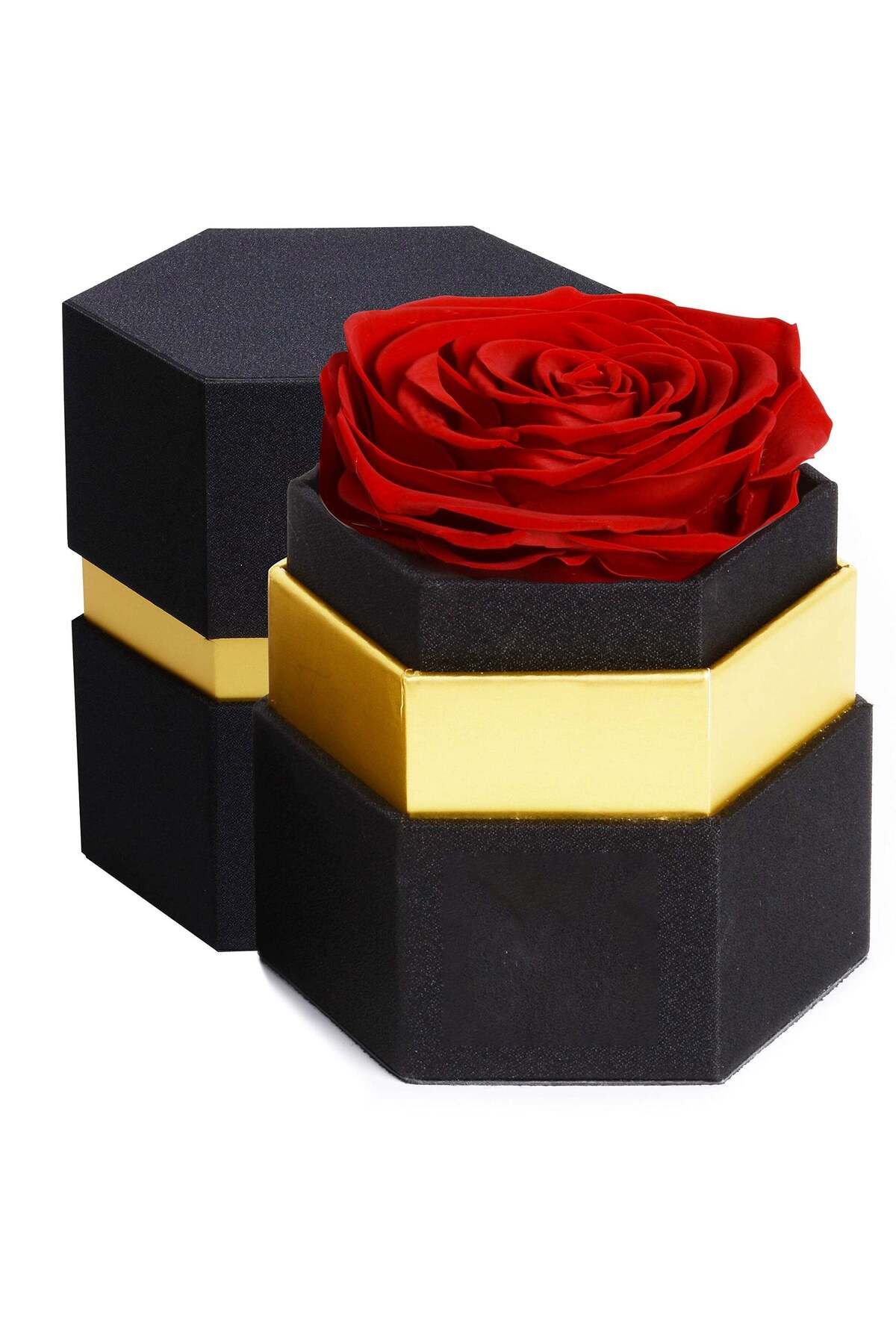 Generic-Excefore Hexagon Single Forever Red Rose Box, Preserved Roses in a Box, Immortal Roses in a Box Tha 1