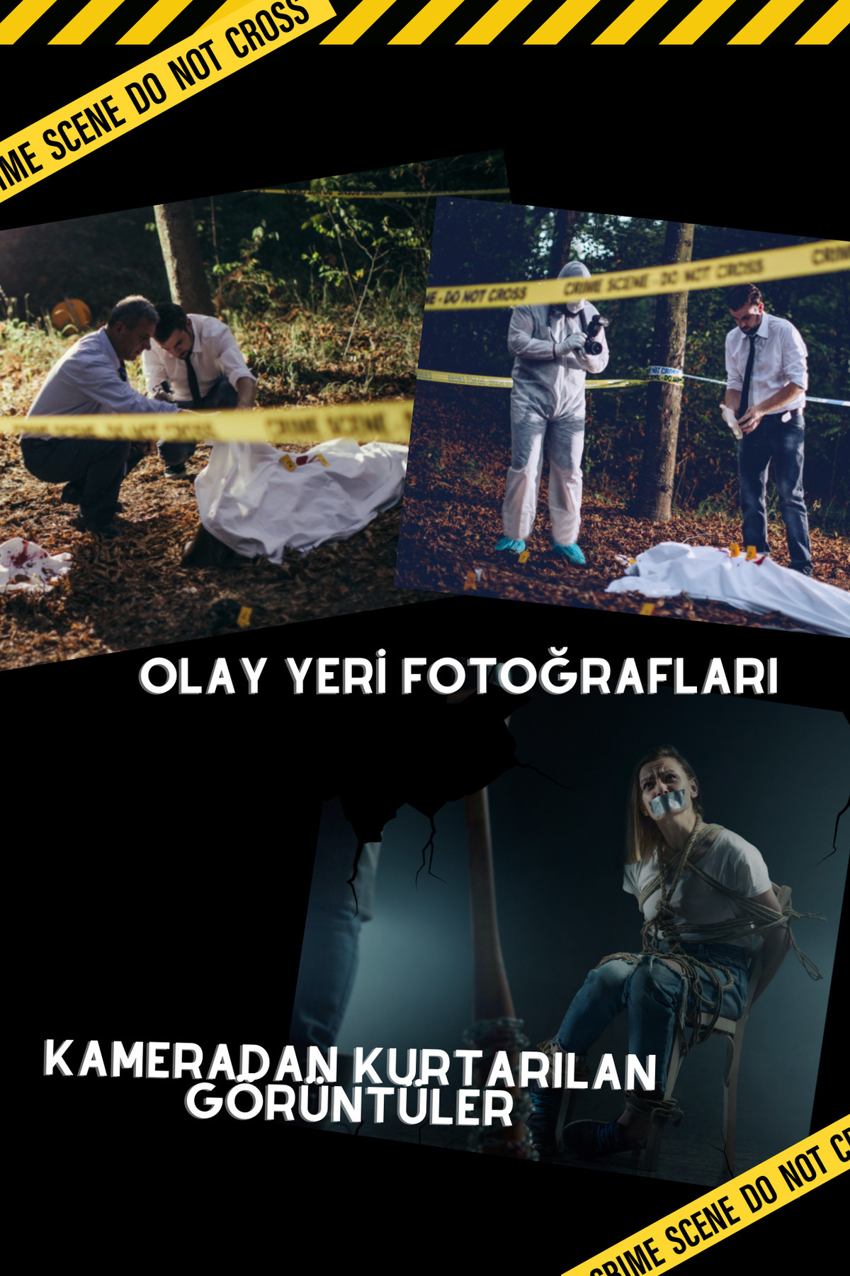 dedektifia Psikopat Davası, Dedektiflik Oyunu, Cinayet Çözme ve Katili Bulma Oyunu, Suçluyu Bulma fotoğrafı 5 (önizleme)