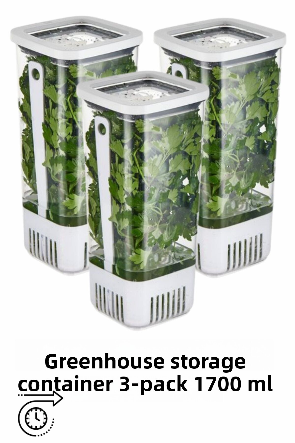 Comprox-1700 ml Greenery Storage Container - Set of 3 Long Lasting Freshness 1