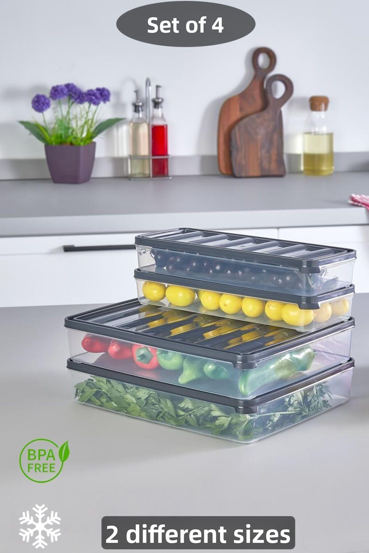 KRM HOME-4 Piece Leak Proof Storage Container Breakfast And Ice Box Storage Container Vacuum Lid Set 5