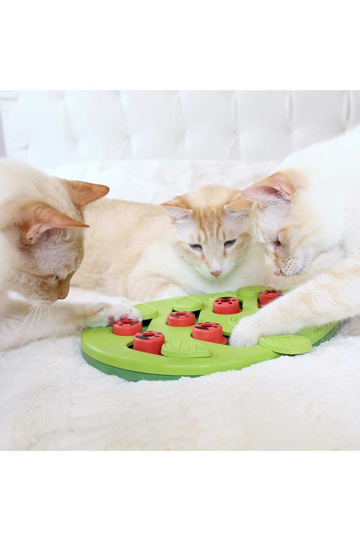 Elindor-Interactive Puzzle For Cats, Reward Release, With 16 Hidden Compartment, Green 6