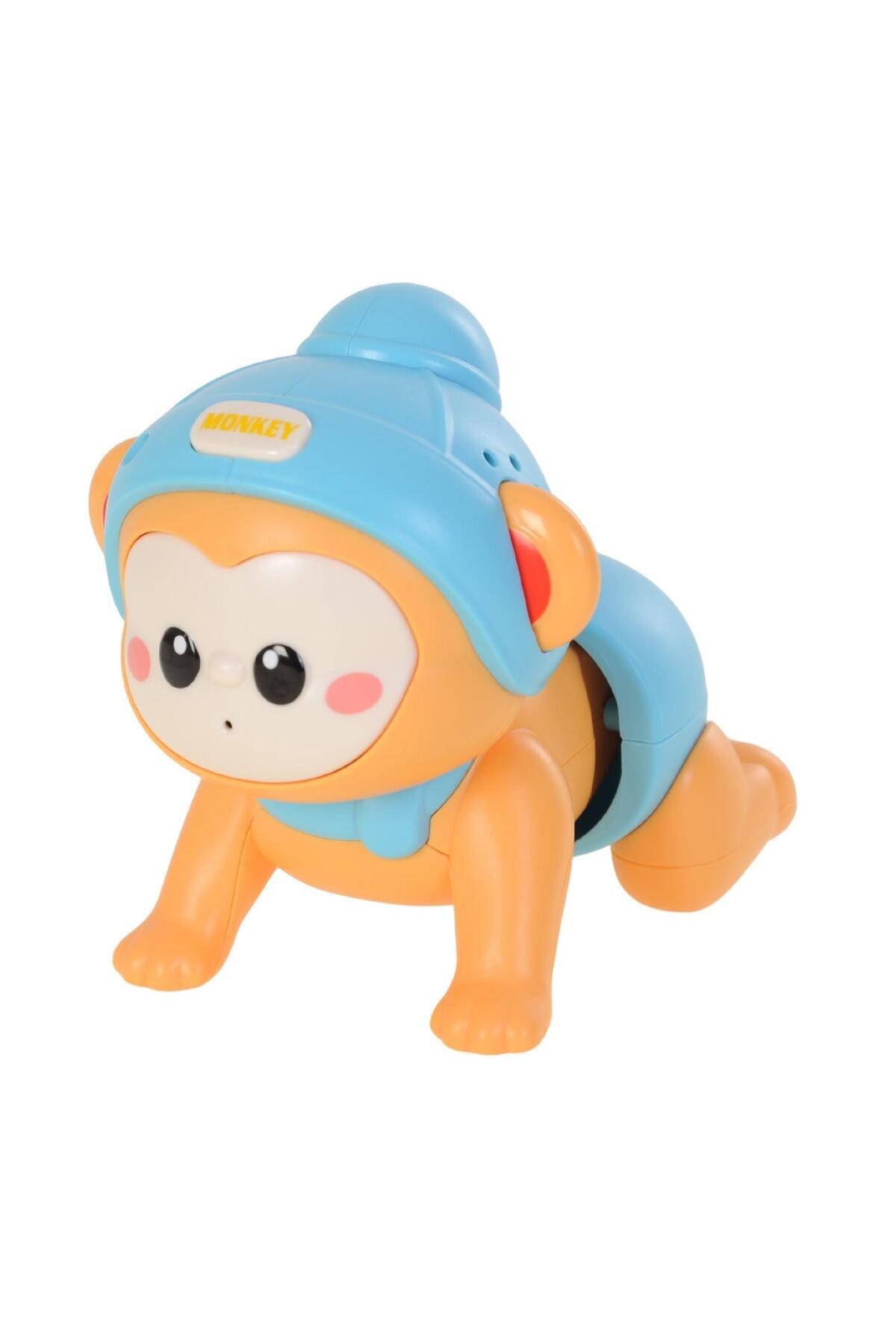 HAK İŞ OYUNCAK Emeklemeye Yardımcı Typ c şarjlı , Ses Tekrar Özellikli Müzikli ,Emekleyen fotoğrafı 4 (önizleme)