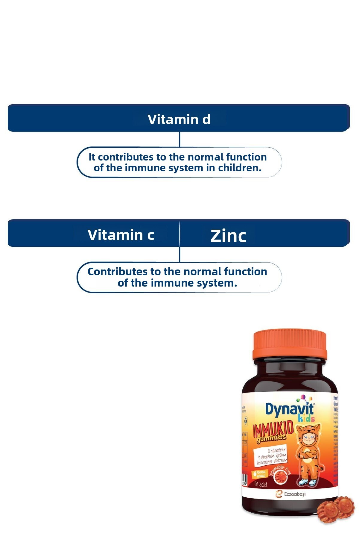 Dynavit-أحمر الخدود المقاوم للأطفال - 60 أحمر خدود قابل للمضغ، فيتامين C، فيتامين D، مستخلص الزنك والبلسان الأسود 6