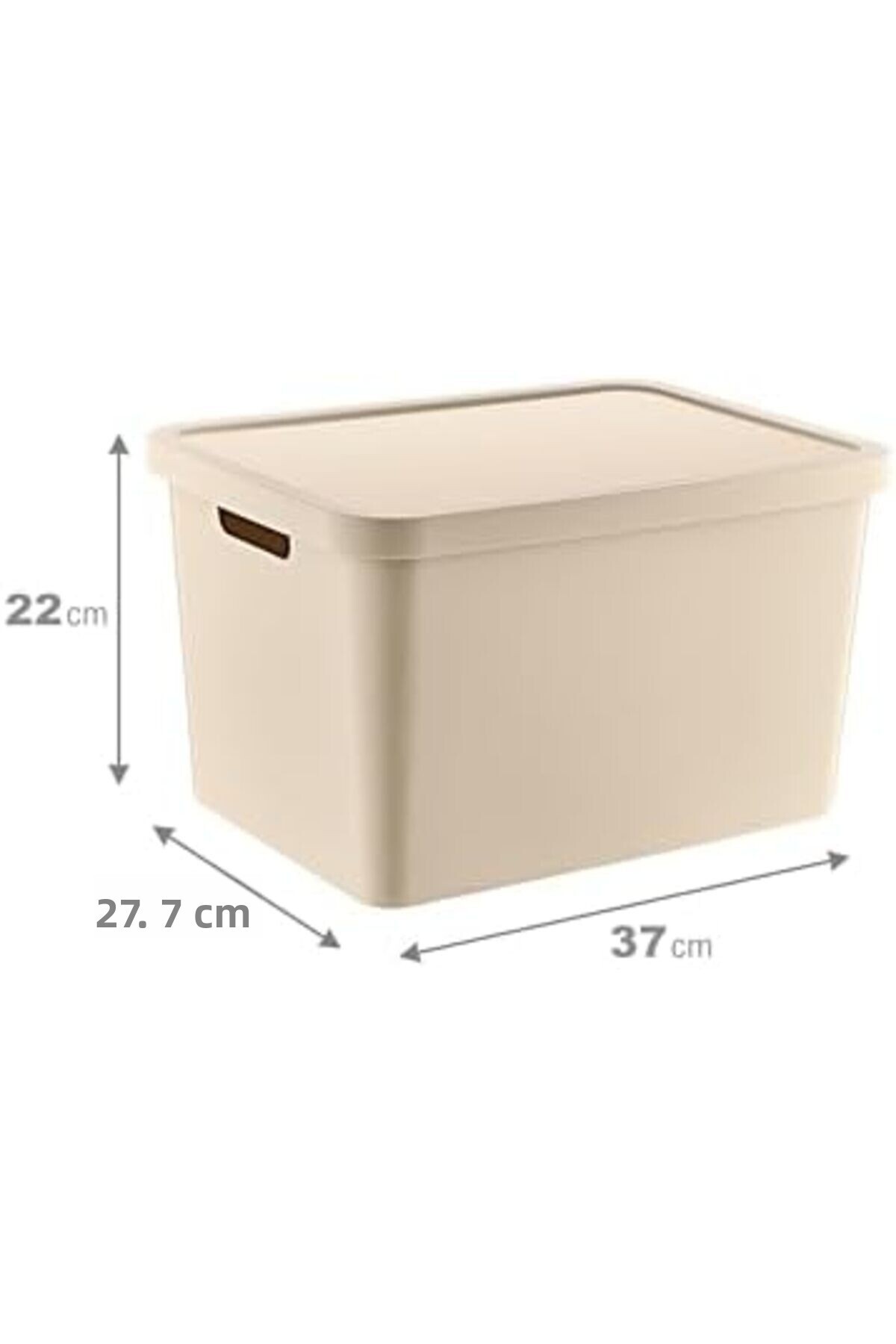AC BOX-Set of 4 Stafi Multi-Purpose Box with Lid Latte 18 Lt - Latte, Multi-Purpose Box with Lid, E 2