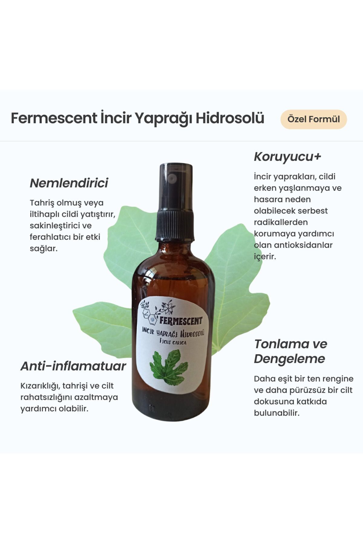İncir Yaprağı Suyu Hidrosolü Akneye Eğilimli Ciltler İçin Arındırıcı Tonik 100 ml — 350765 — تصویر 2 از 6