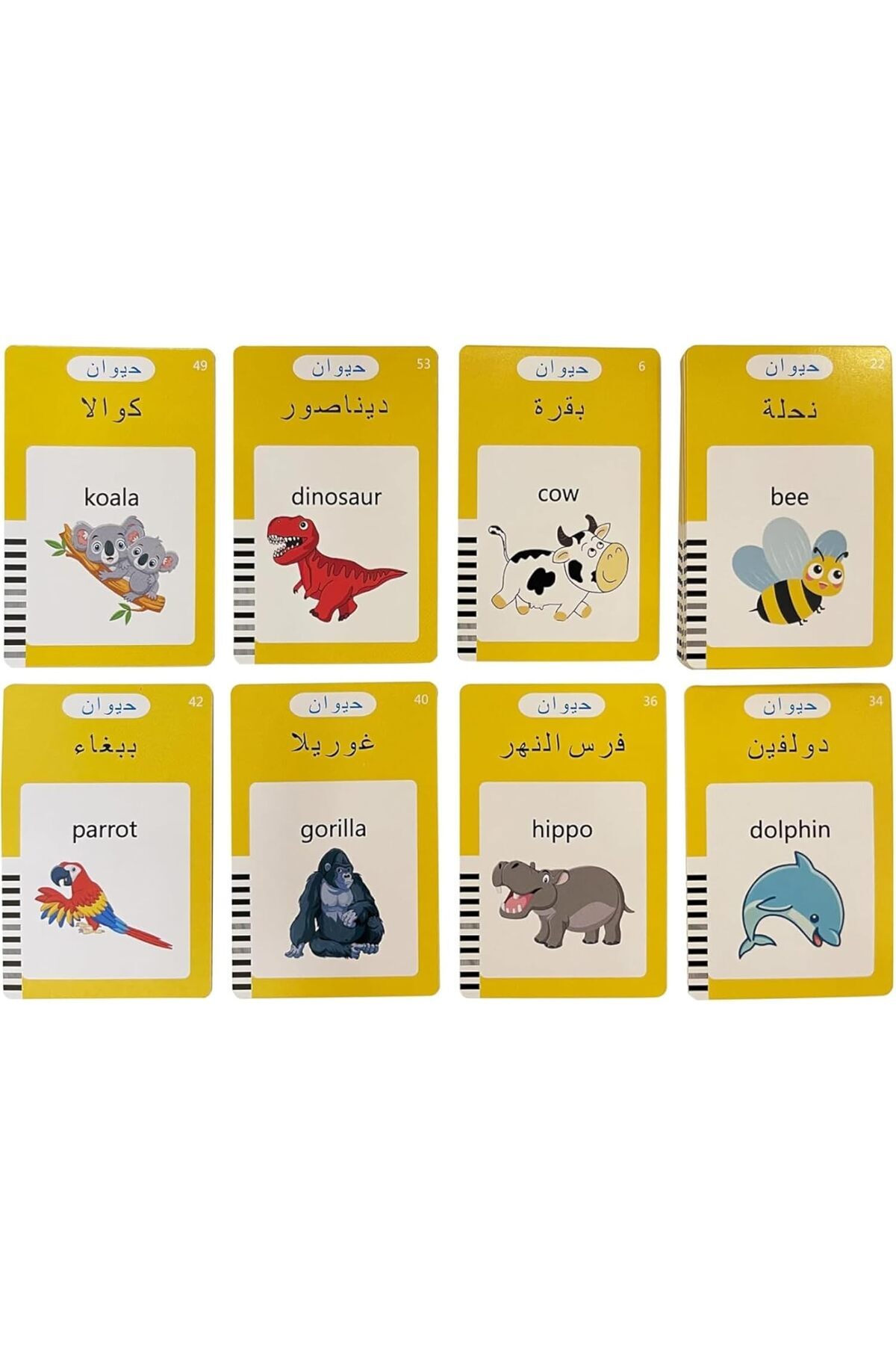فلشکارتهای آموزشی صحبتکننده به زبان انگلیسی و عربی برای کودکان ۱ تا ۶ ساله، شامل ۲۲۴ واژه، هدیه برای کودکان، رنگ صورتی