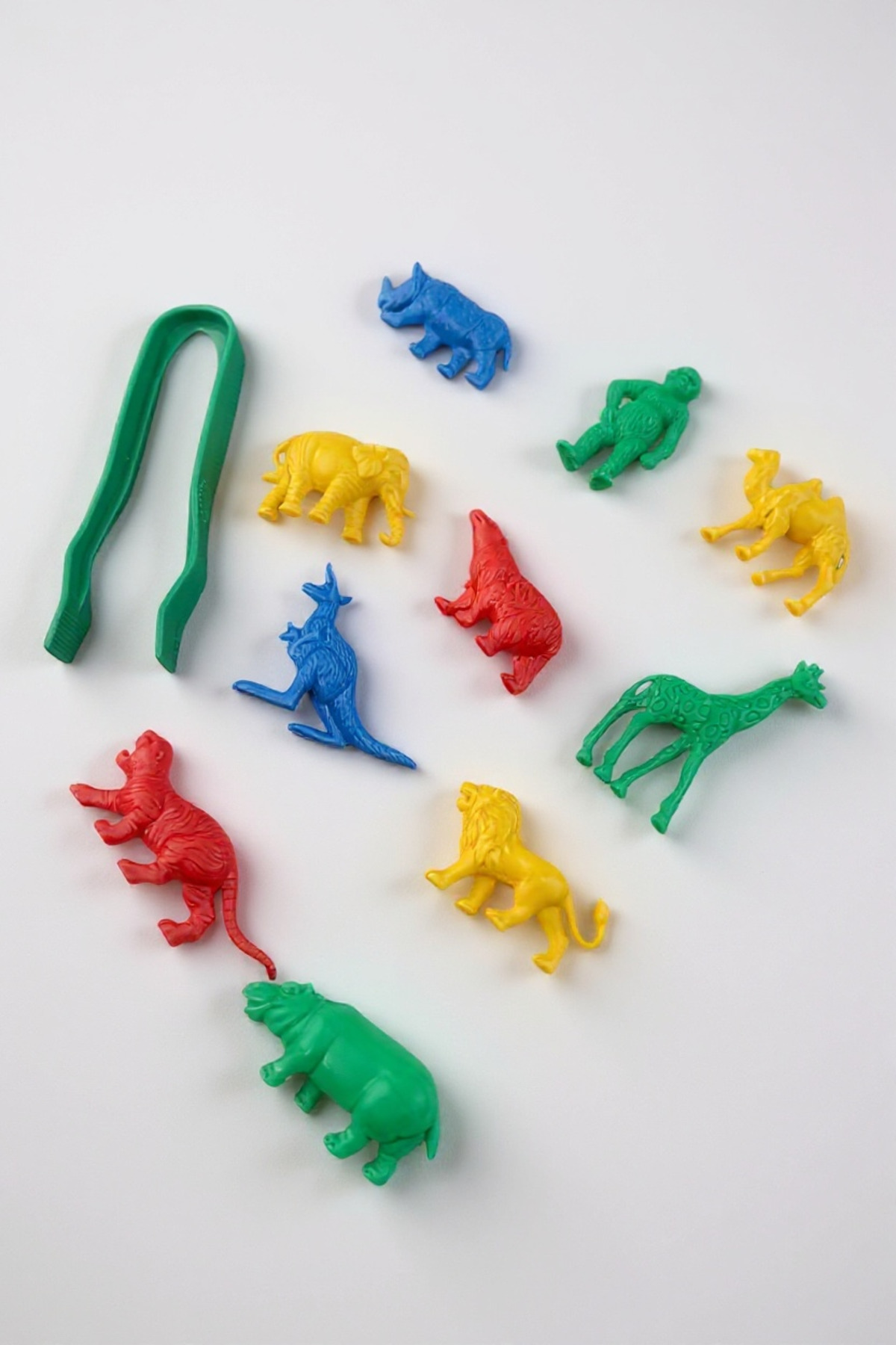 اعداد حیوانات وحشی با موچه‌گیر