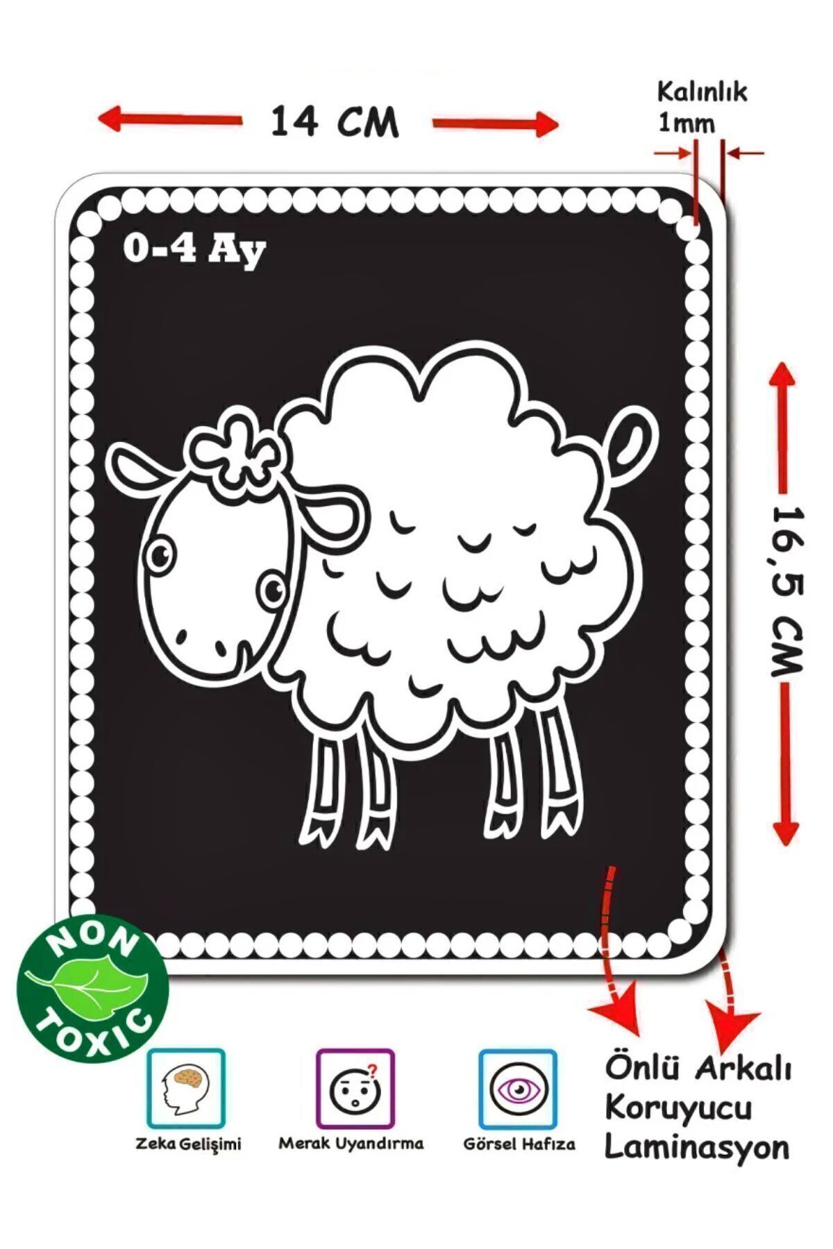 AVDA Bebeğimin Ilk Zeka Kartları Flash Cards Eğitici Kartlar fotoğrafı 2 (önizleme)
