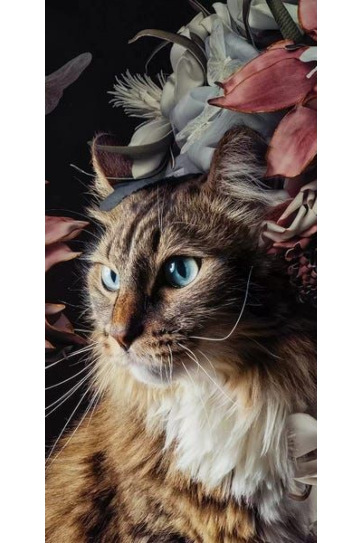 Atlas-Personalized Case XIAOMI Redmi Note 8 Pro Cat 1