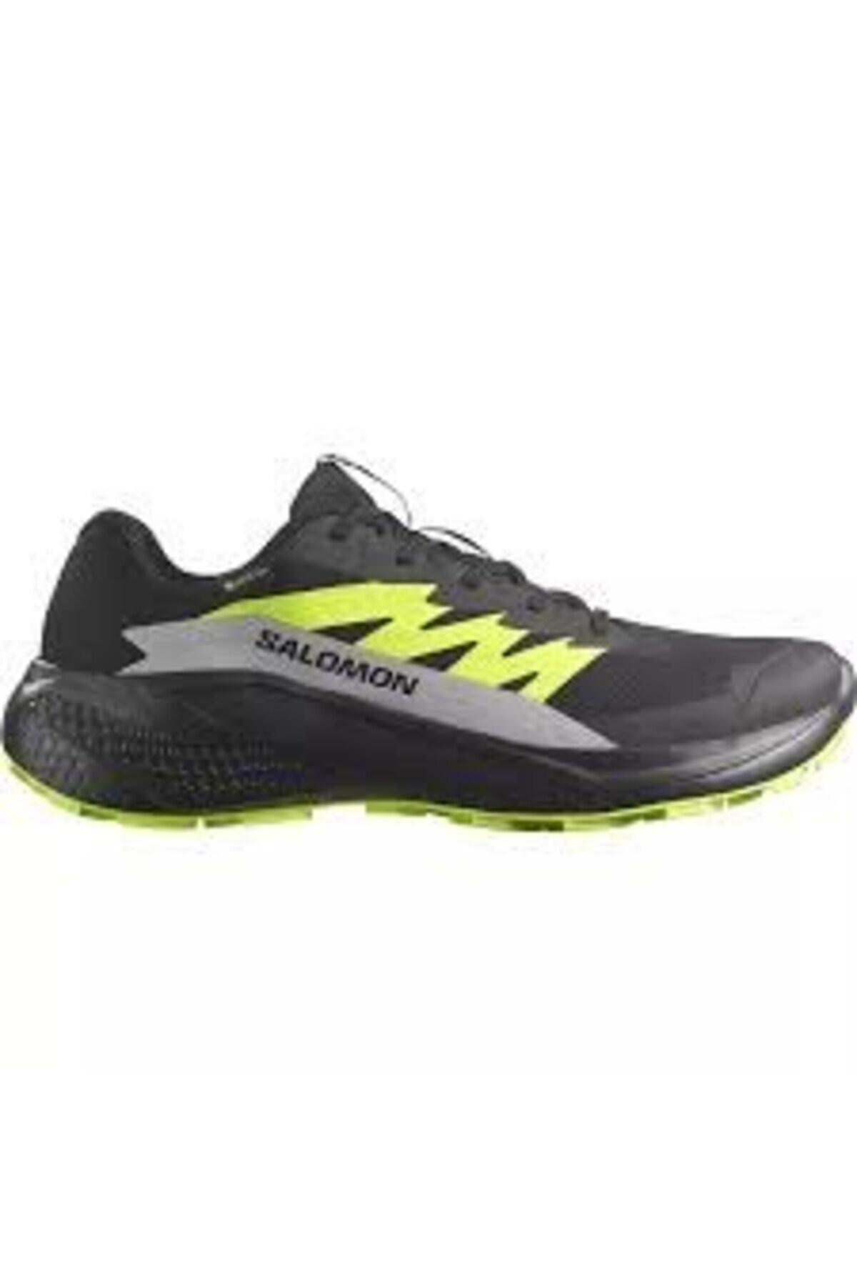 سالومون کفش دویدن مردانه Alphaglide Gore-tex مشکی/آلیاژی/سبز تیره L47802000