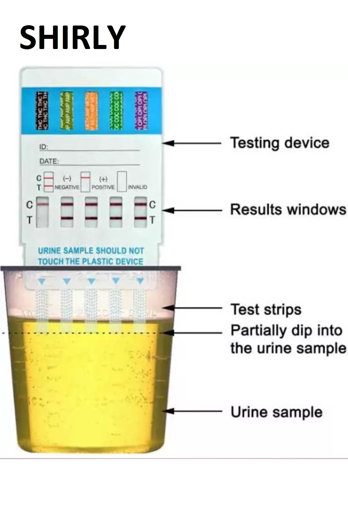 SHIRLY Drg Test 12 farklı ölçüm testi