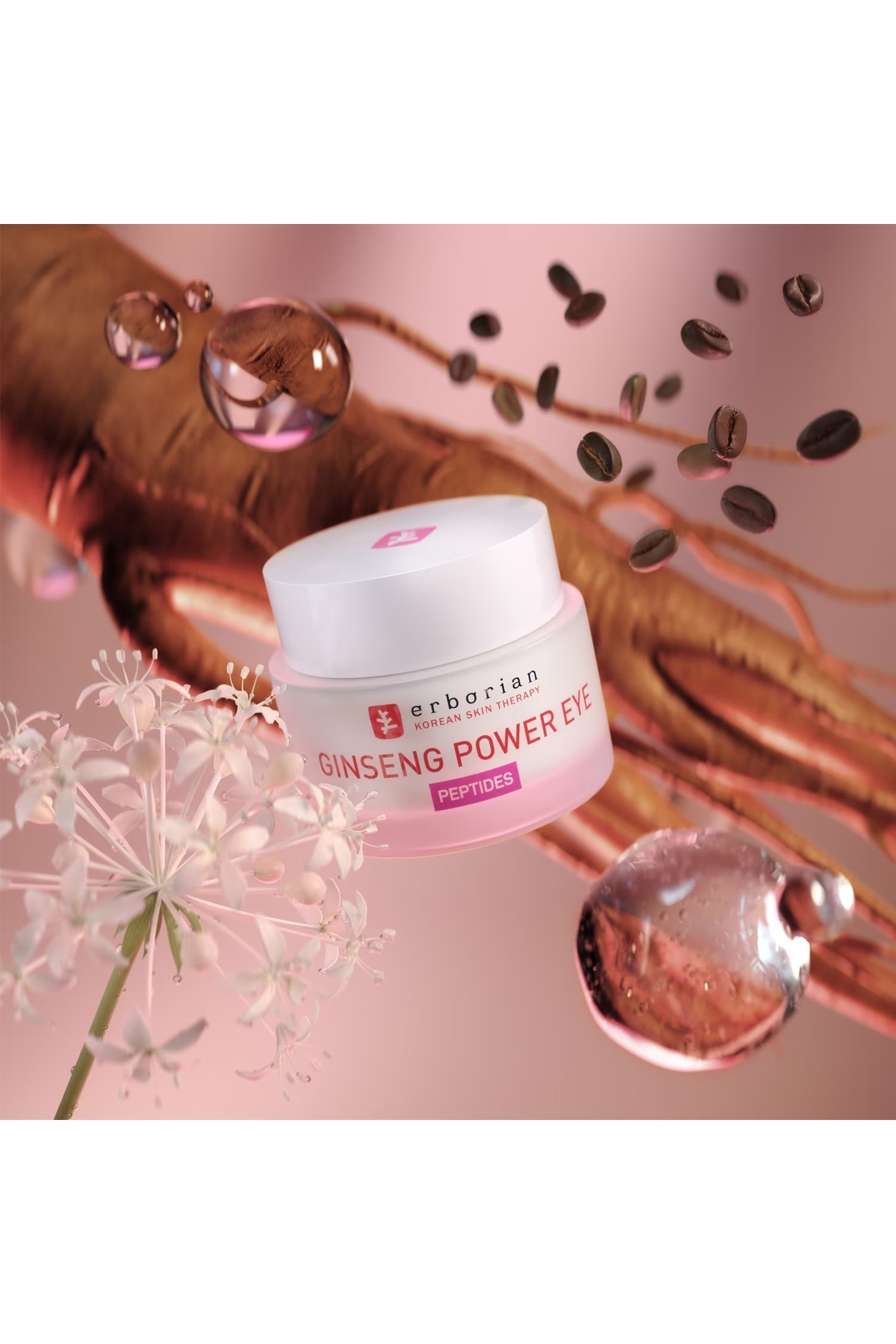 erborian-Ginseng Power Yeux - Fine Lines and Wrinkles Eye Cream 15 ml 2