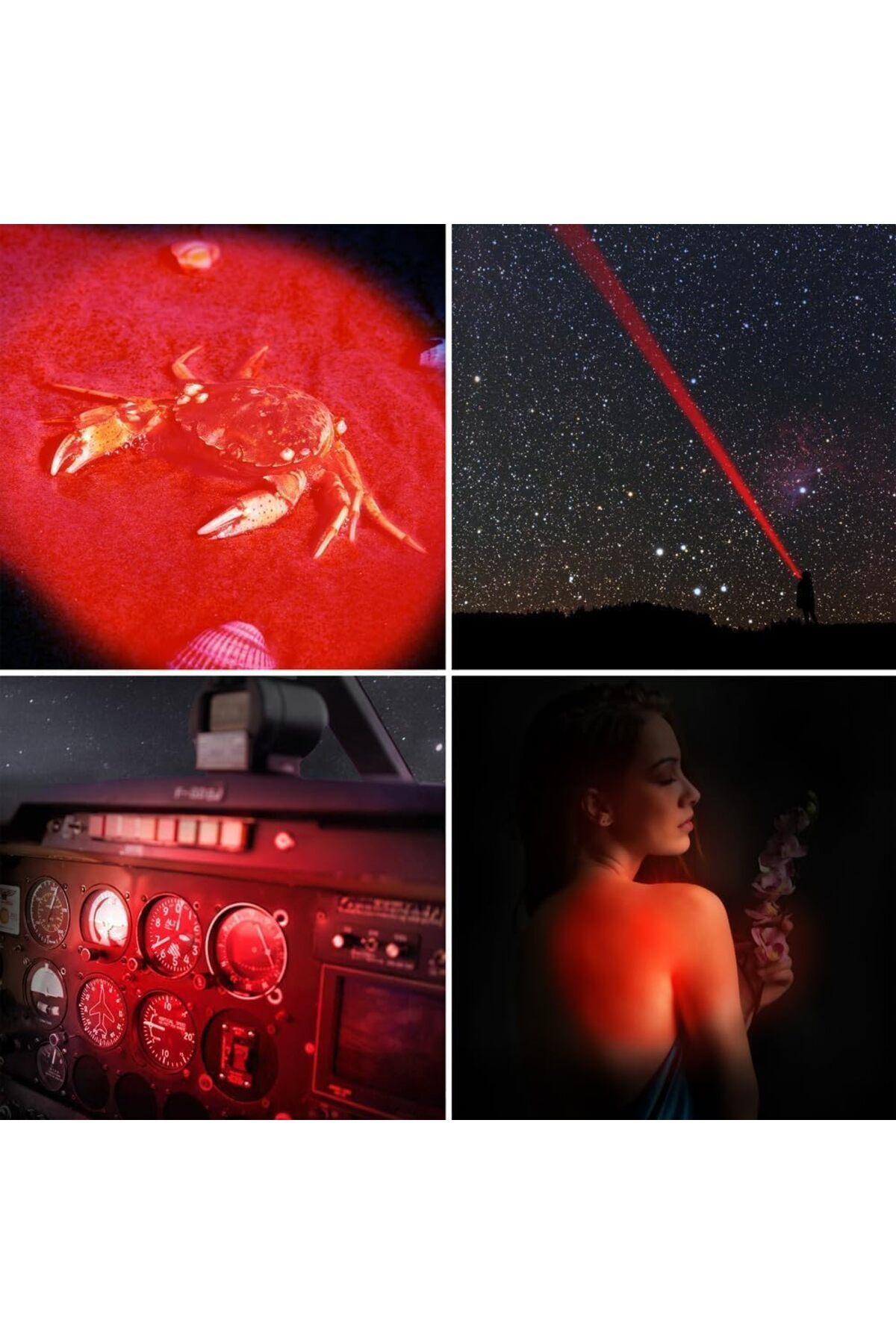 erorex-Pack 3 Single Mode Red Light Flashlight 1 Mode Red Led Flashlight Red Flashlight Torch Red Led Red 2