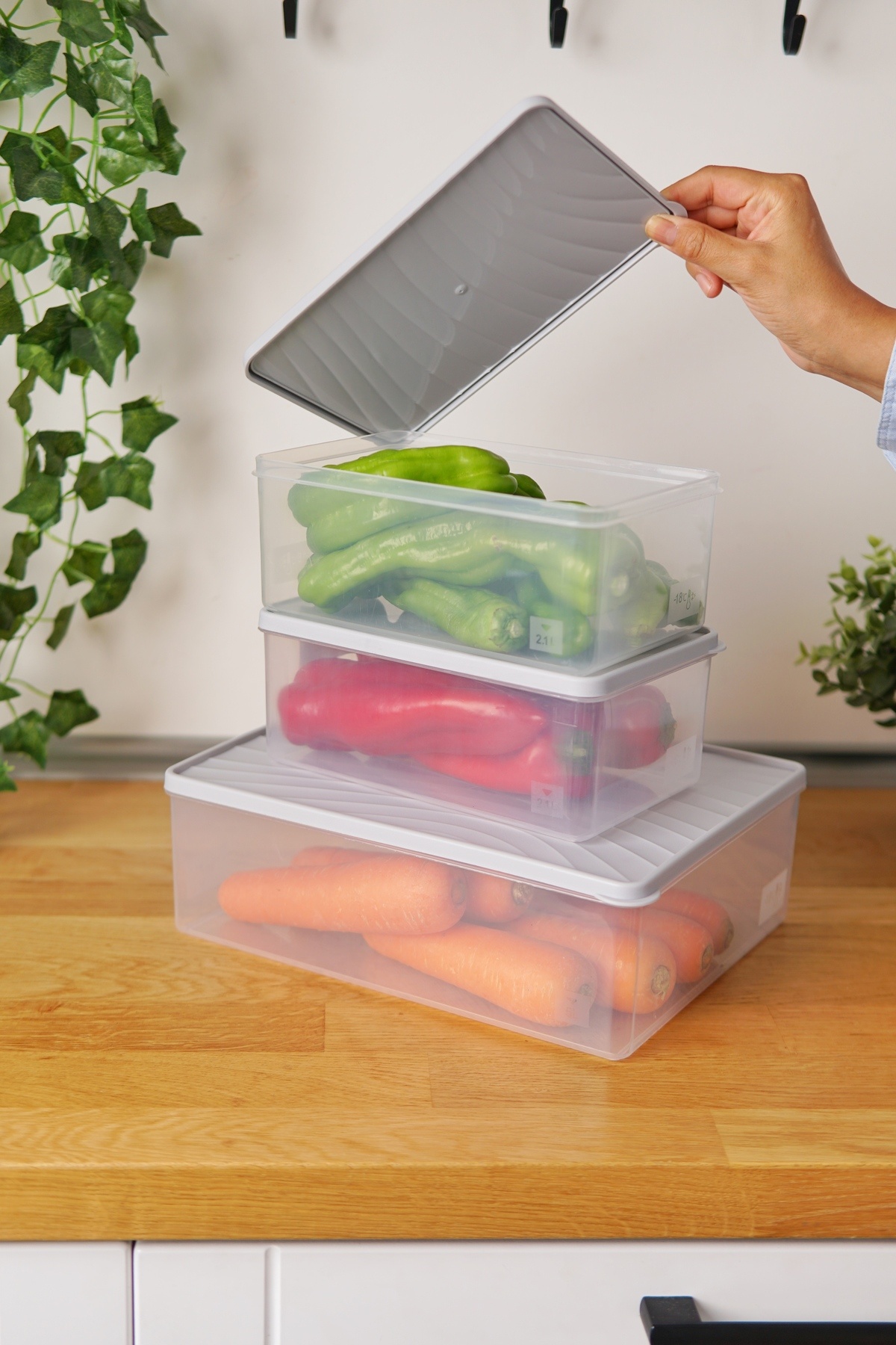 EVLE-Deep Freezer Storage Container Set of 3 (5 Lt + 2 X 2.1 Lt), Gray 2