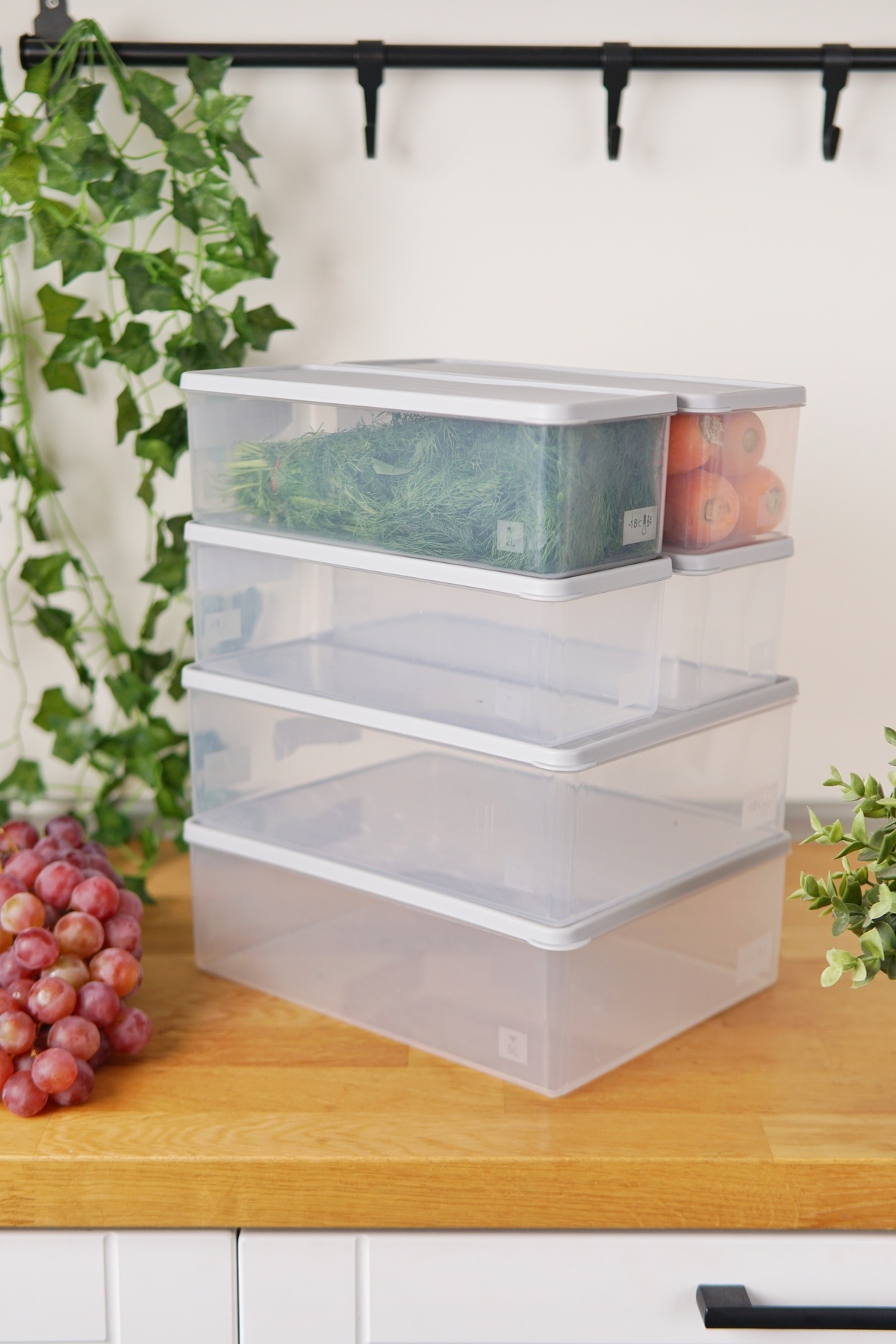 EVLE-Deep Freezer Storage Container Set of 6 (2 X 5 Lt + 4 X 2 Lt), Gray 1