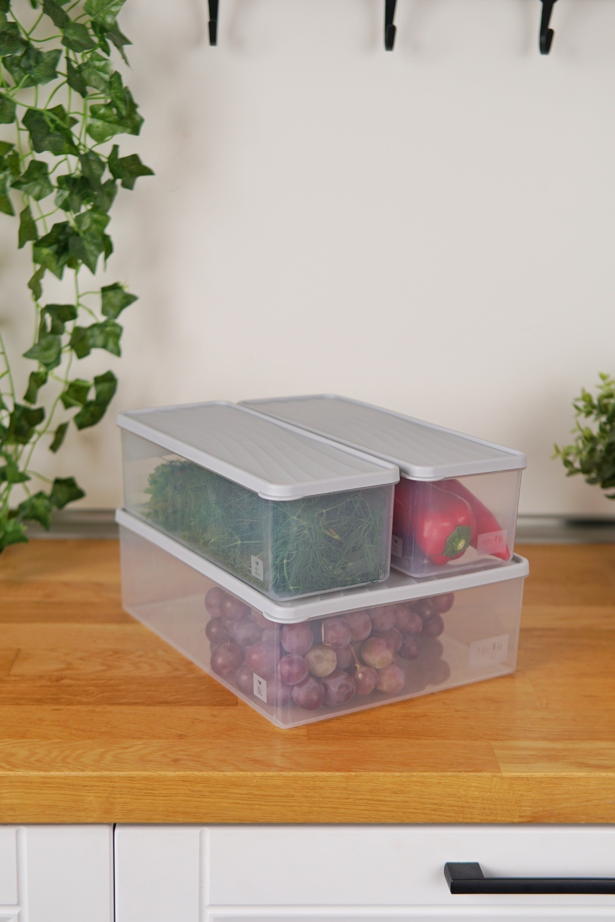 EVLE-Deep Freezer Storage Container Set of 3 (5 Lt + 2 X 2 Lt), Gray 2