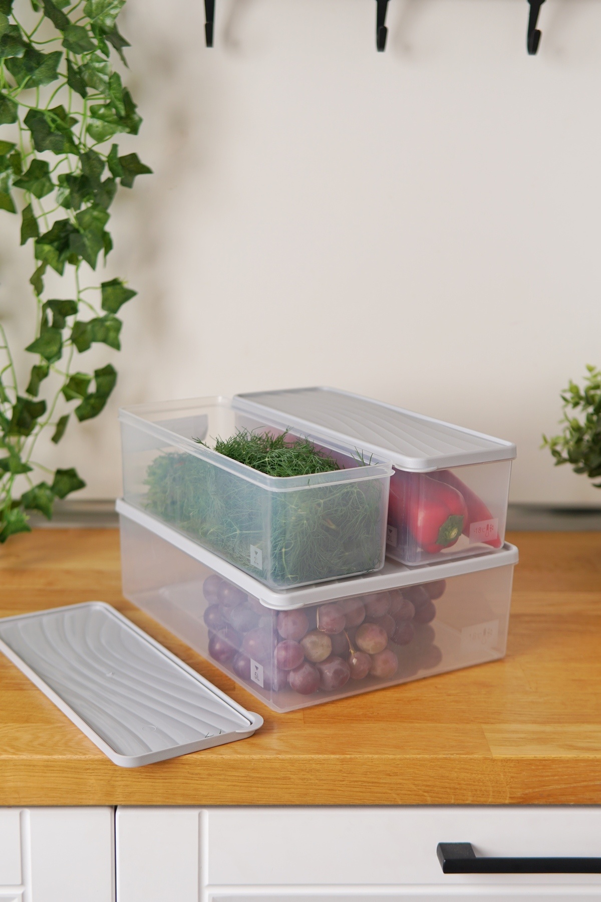 EVLE-Deep Freezer Storage Container Set of 3 (5 Lt + 2 X 2 Lt), Gray 3