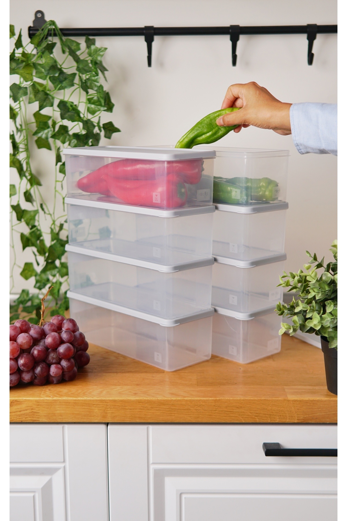 EVLE-Deep Freezer Storage Container Set of 8 (8 X 1 Lt), Gray 1