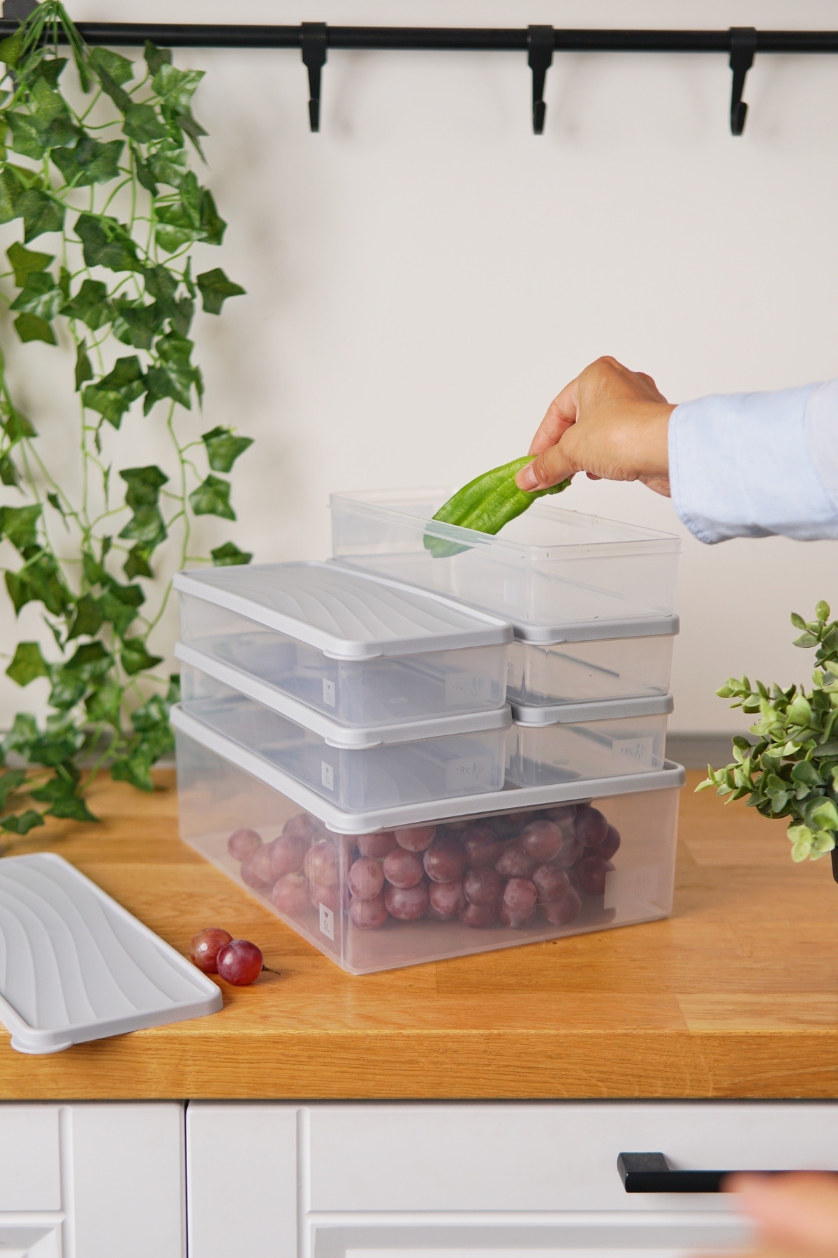 EVLE-Deep Freezer Storage Container Set of 6 (5 Lt + 5 X 1 Lt), Gray 1