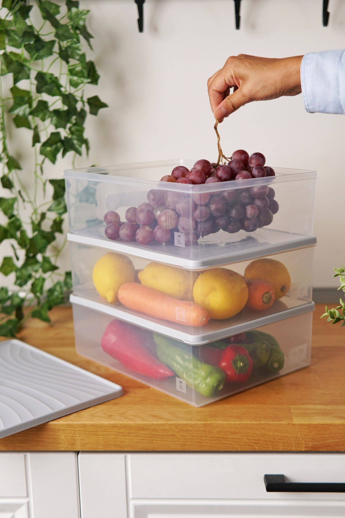 EVLE-Deep Freezer Storage Container Set of 3 (3 X 5 Lt), Gray 1