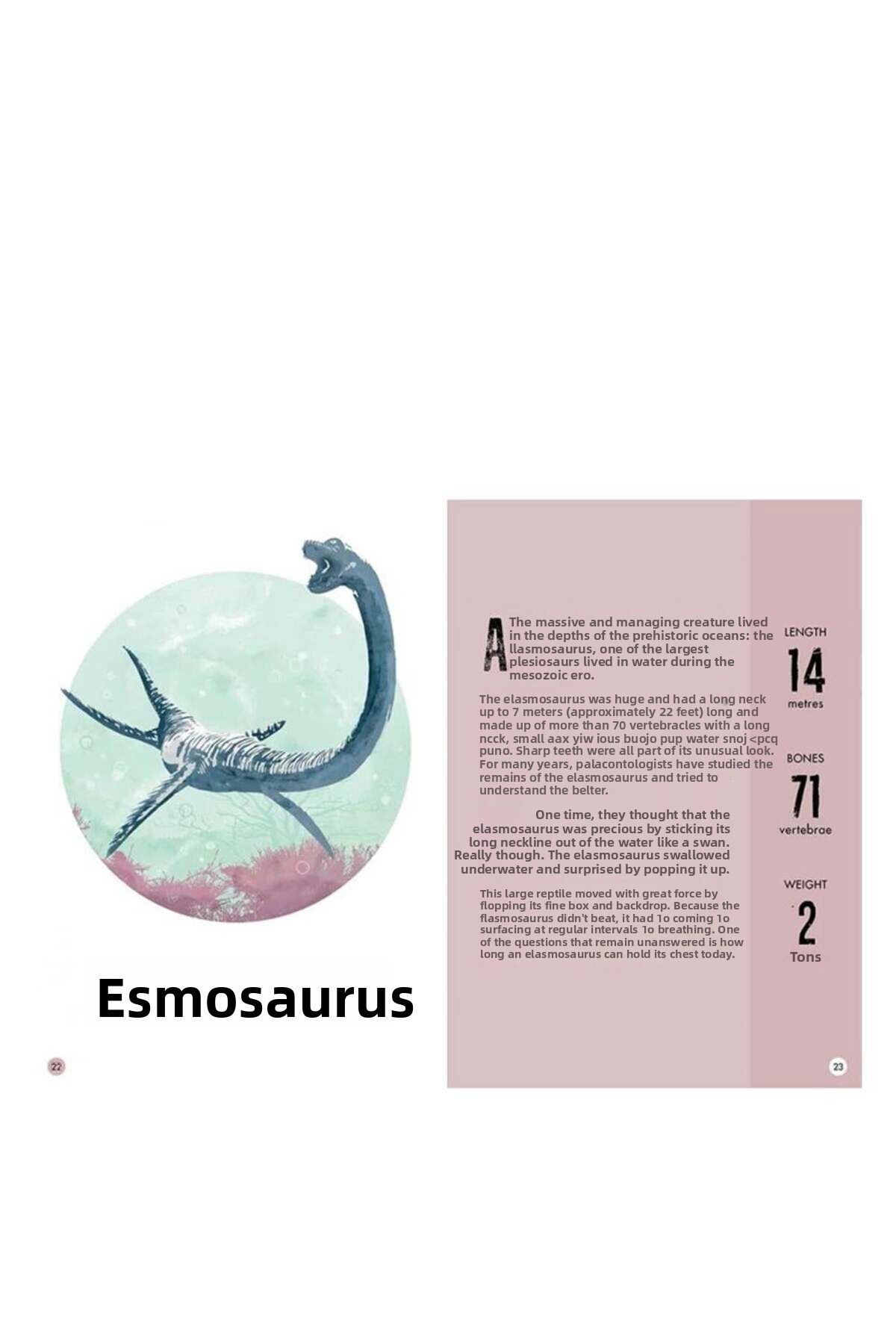 Sassi Junior-Sassi 3D Stegosaurus - Book and 3D Model 5