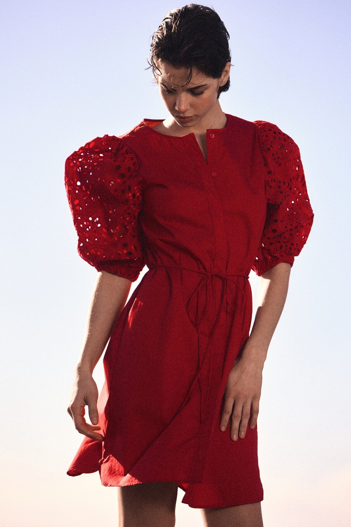 پیراهن آستین‌دار گلدوزی شده H&M