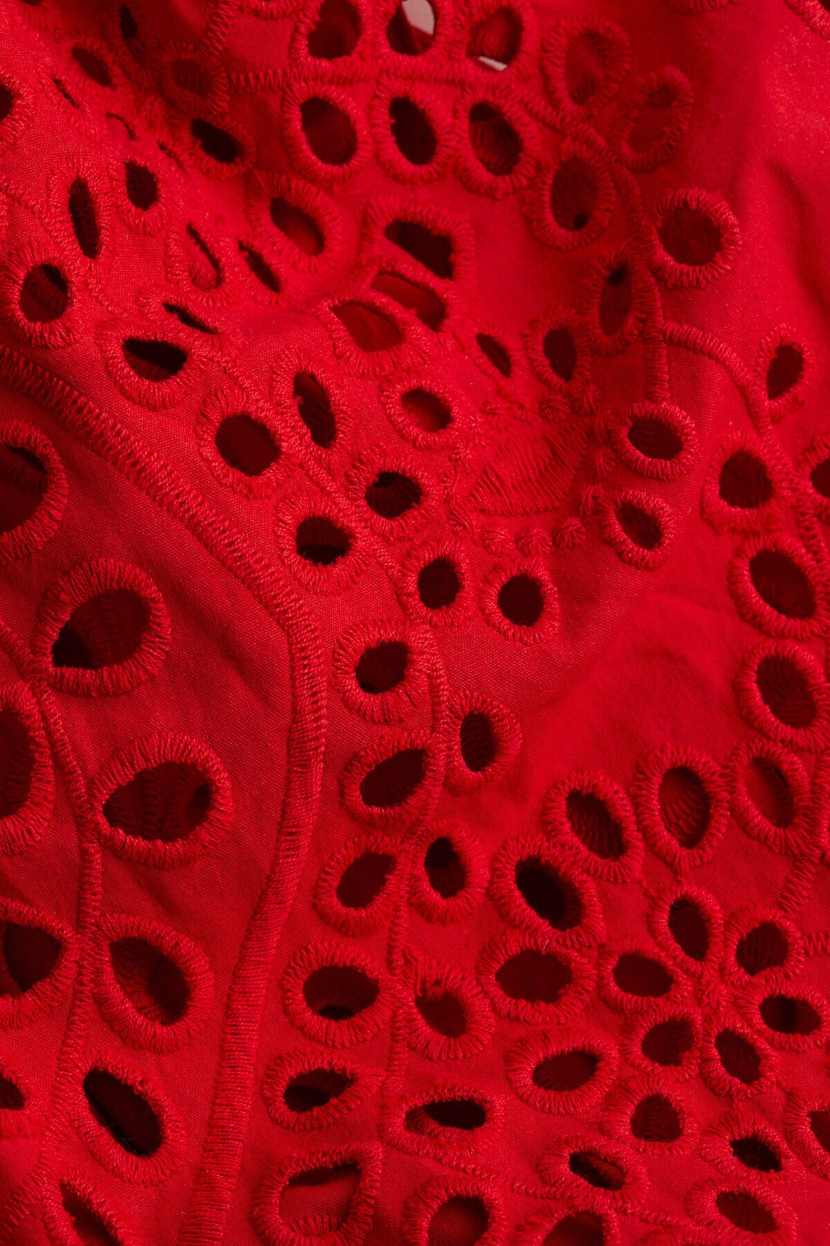 پیراهن آستین‌دار گلدوزی شده H&M