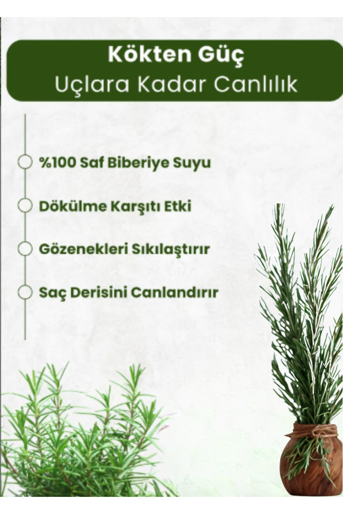 2Lİ Set Biberiye Suyu Dökülme Karşıtı ve Saç Uzamasını Destekleyici Saç Toniği 2X100 ml Sprey — BİBERİYE100MLX2 — تصویر 2 از 3