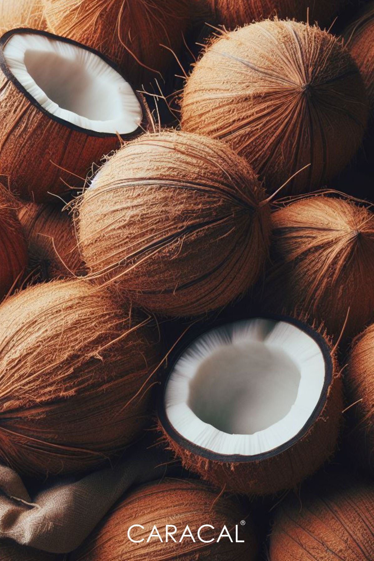 Hindistan Cevizi Yağı Hindistancevizi Yağı Coconut Oil Deodorize Kokusuz — HİNDİSTAN CEVİZİ YAĞI COCONUT OİL OIL — تصویر 4 از 4