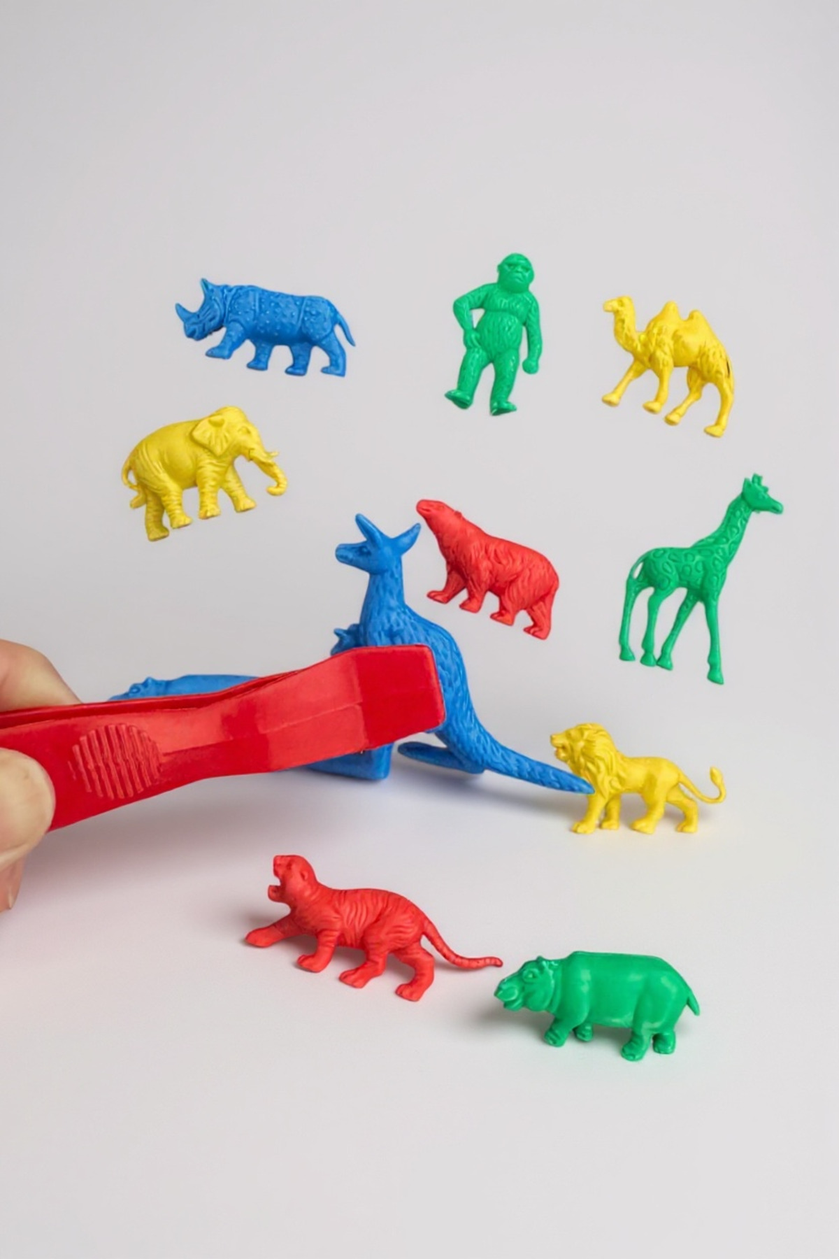 اعداد حیوانات وحشی با موچه‌گیر