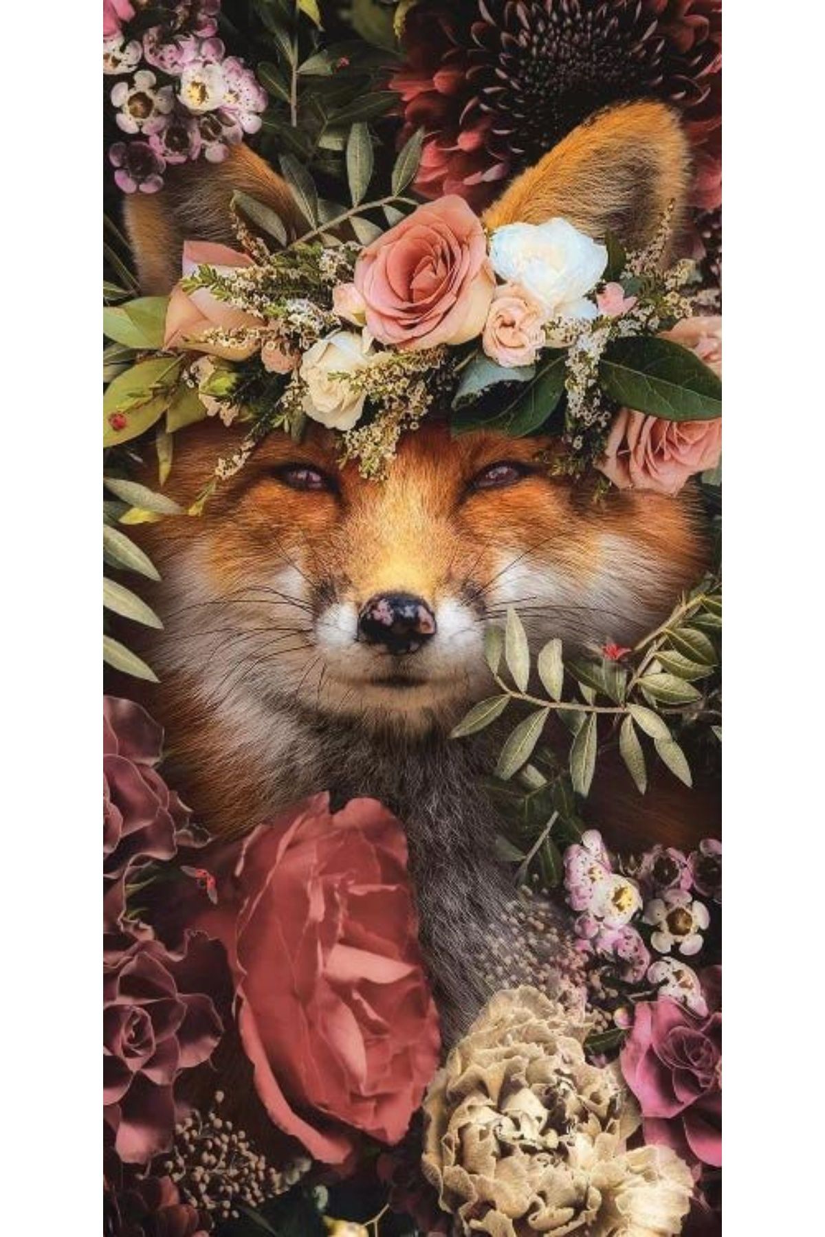 Atlas-Personalized APPLE iPhone 5 Case Fox 1