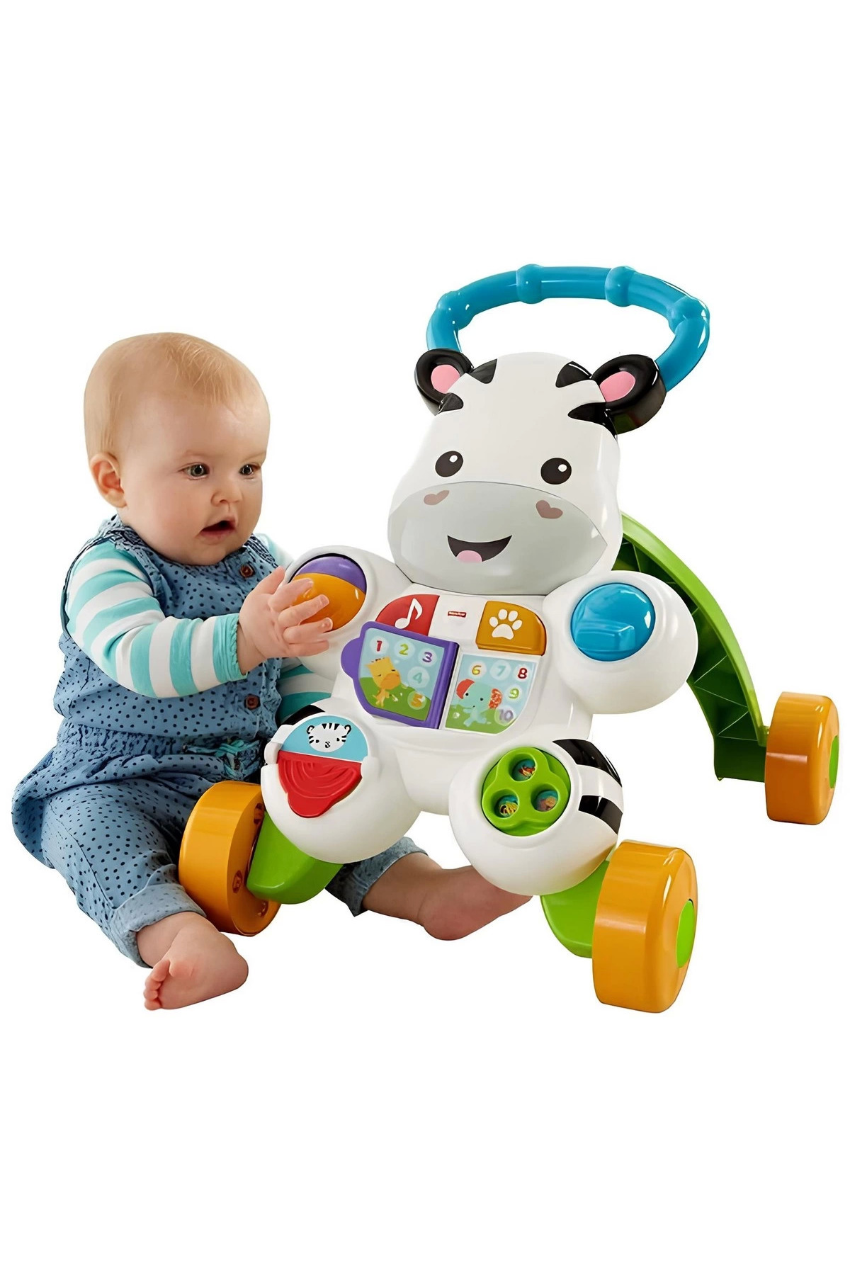 SPOR35 Çocuk Bebek Oyuncakları Melodili Yürüteç Zebra DLD80 Kız Erkek Çocuk Oyuncak Eğitici Oyuncaklar fotoğrafı 5 (önizleme)