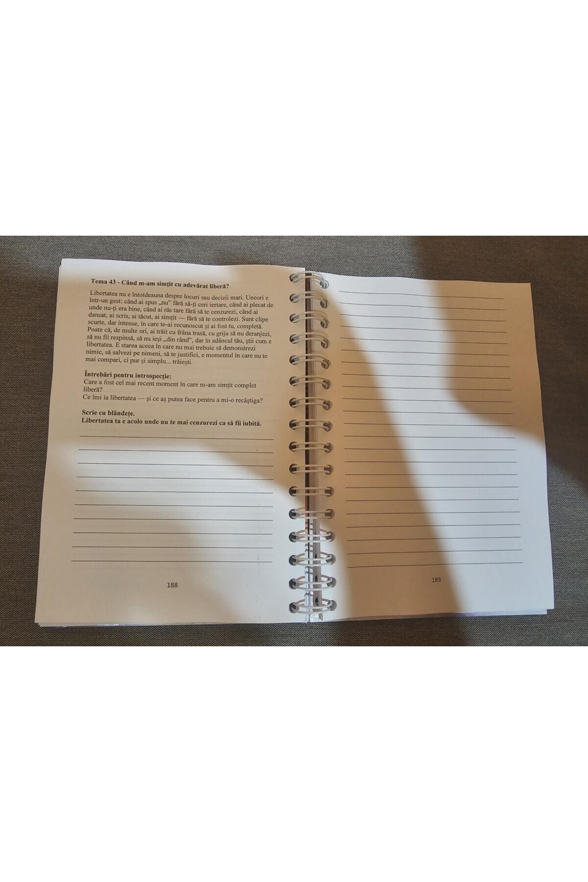 Game of Masks-Returning to the Feminine – introspection journal 5