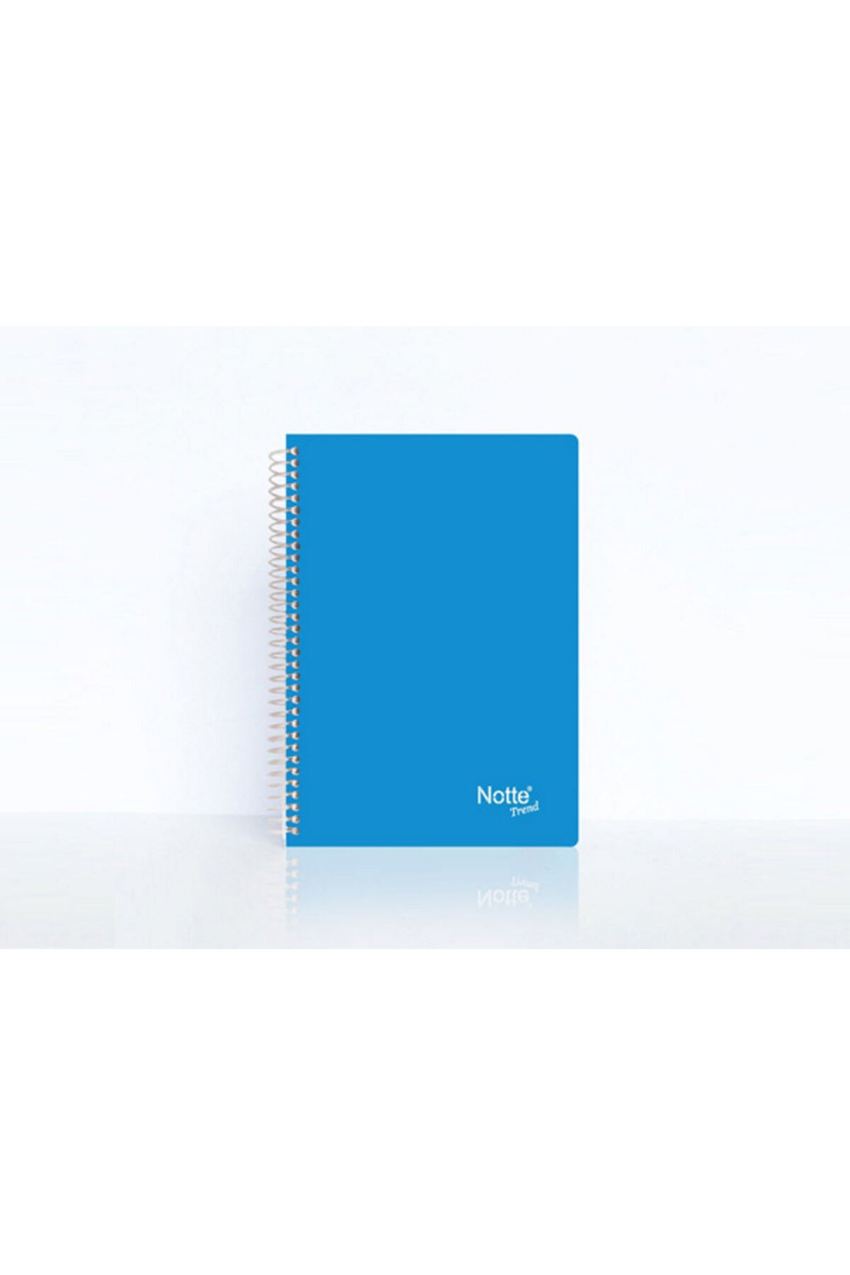 Notte-Trend Notebook A4 PP cover with spiral 80 sheets dictando 3