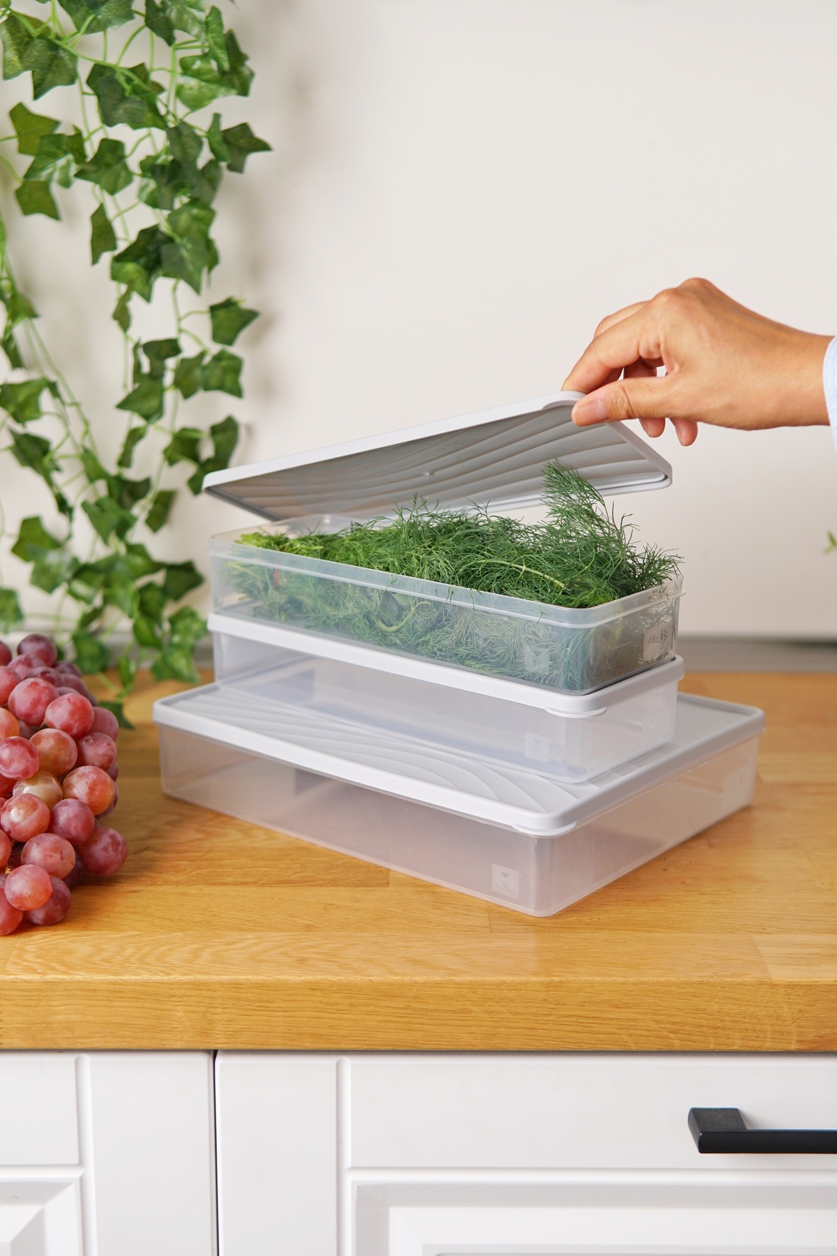 EVLE-Deep Freezer Storage Container Set of 3 (3 Lt + 2 X 2 Lt), Gray 1