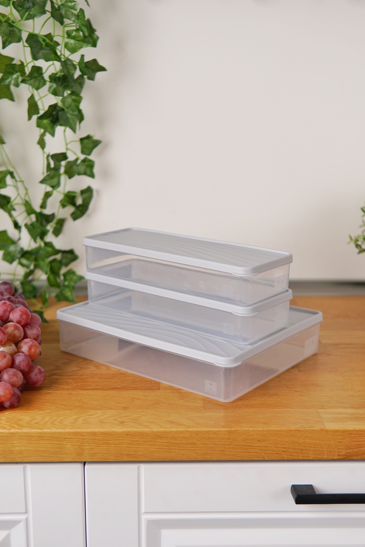 EVLE-Deep Freezer Storage Container Set of 3 (3 Lt + 2 X 2 Lt), Gray 3