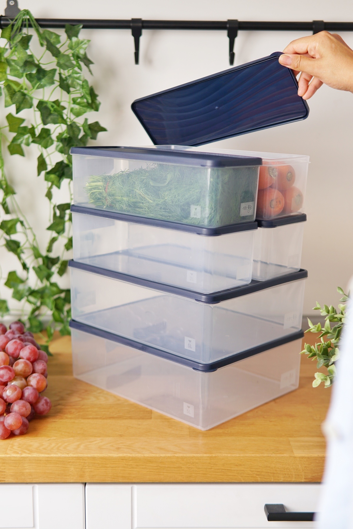 EVLE-Deep Freezer Storage Container Set of 6 (2 X 5 Lt + 4 X 2 Lt), Blue 2