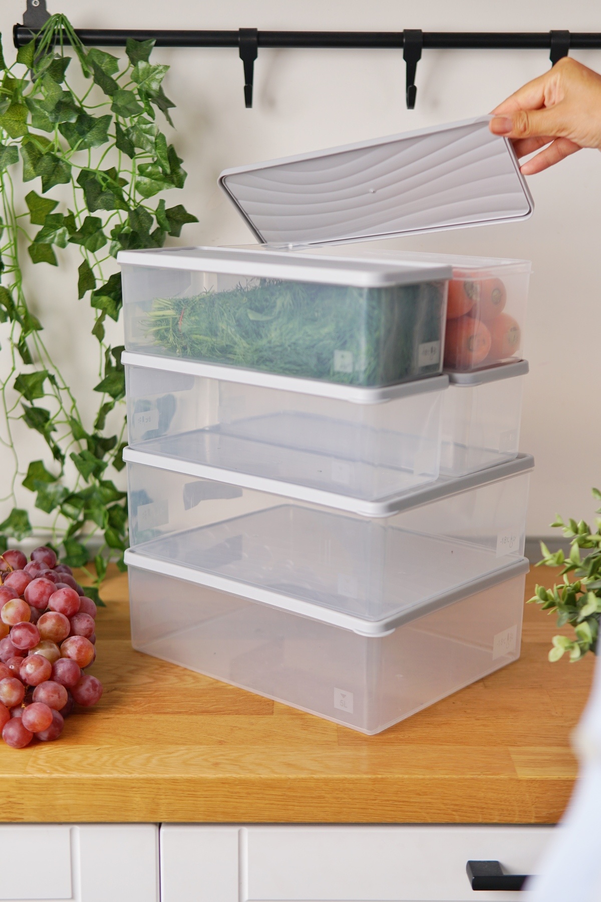 EVLE-Deep Freezer Storage Container Set of 6 (2 X 5 Lt + 4 X 2 Lt), Gray 2