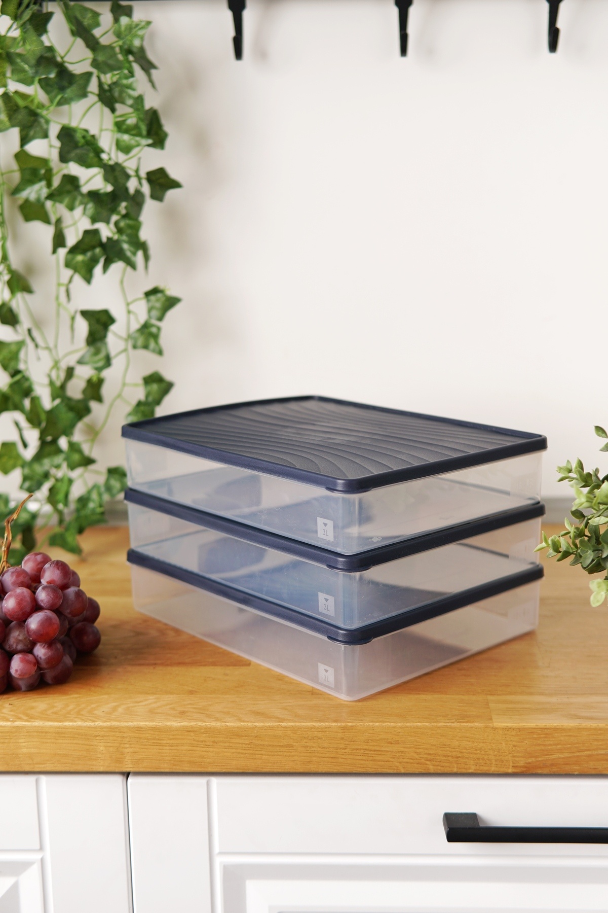 EVLE-Deep Freezer Storage Container Set of 3 (3 X 3 Lt), Blue 3