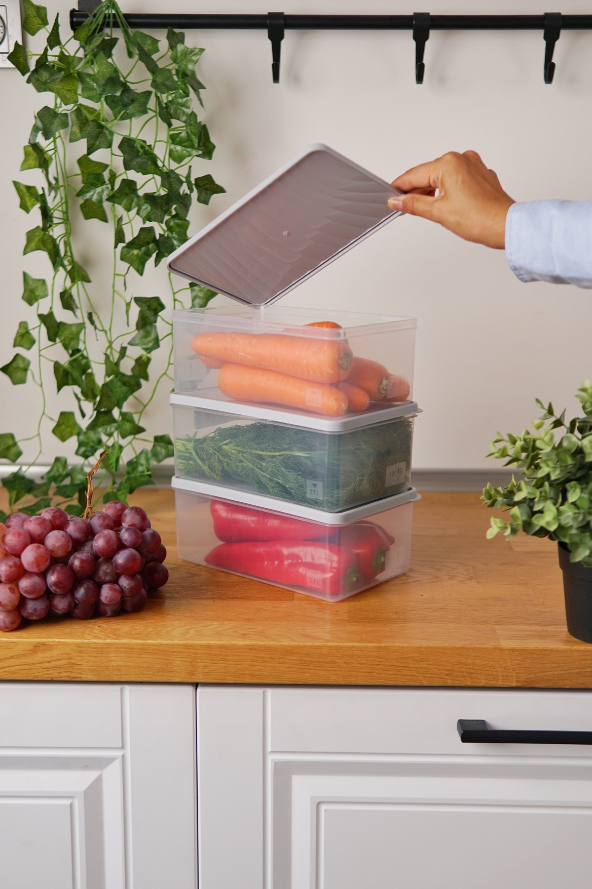 EVLE-Deep Freezer Storage Container Set of 3 (3 X 2.1 Lt), Gray 1