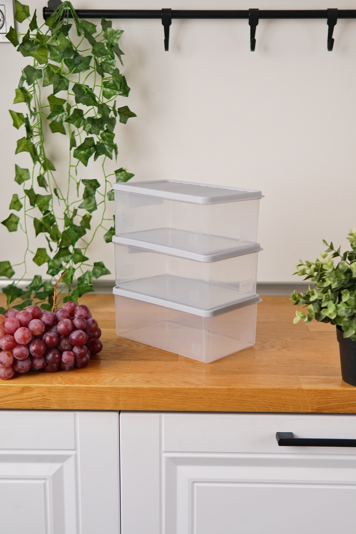 EVLE-Deep Freezer Storage Container Set of 3 (3 X 2.1 Lt), Gray 3