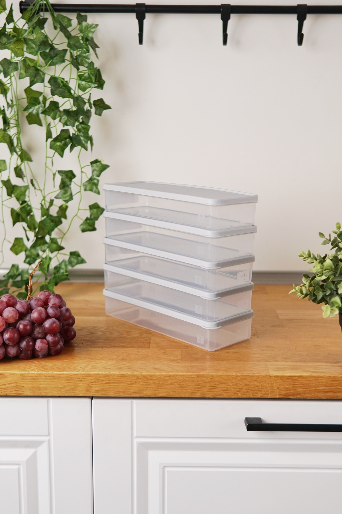 EVLE-Deep Freezer Storage Container Set of 5 (5 X 1 Lt), Gray 1