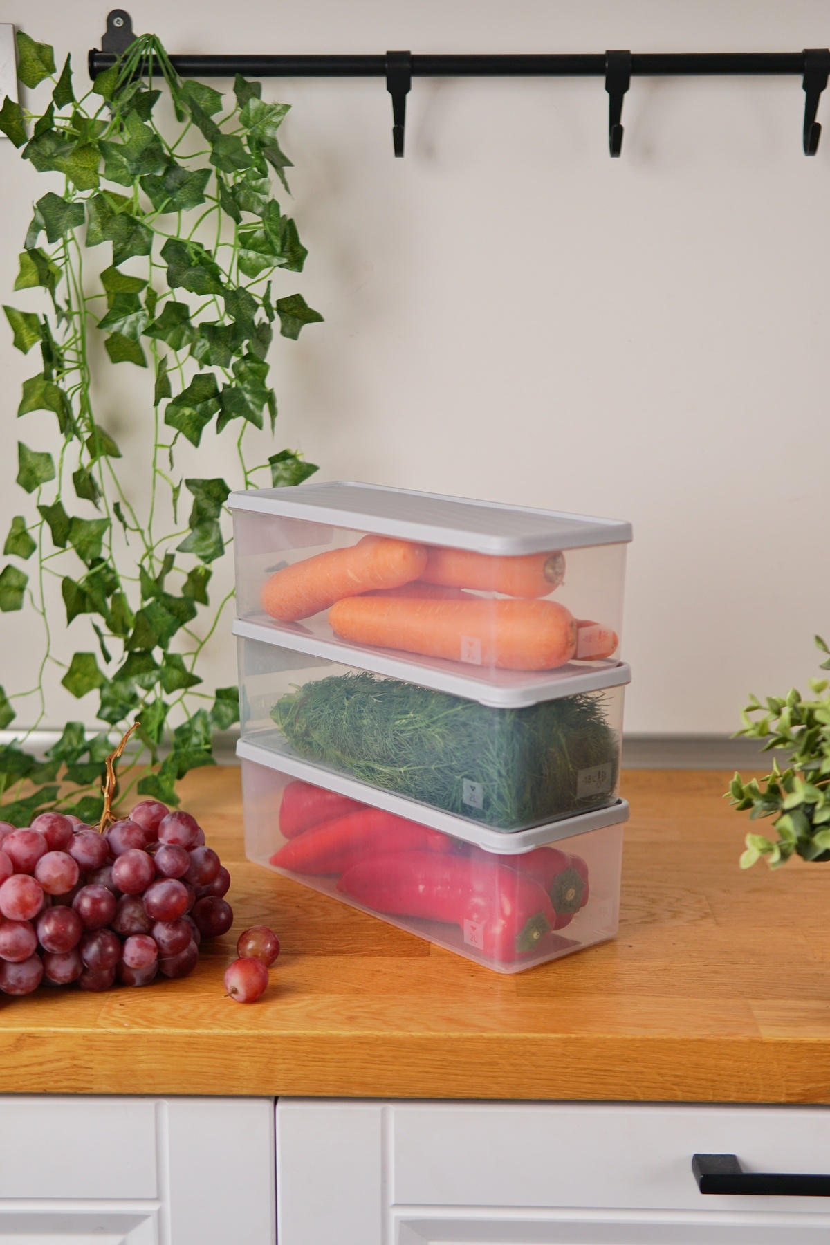 EVLE-Deep Freezer Storage Container Set of 3 (3 X 2 Lt), Gray 2