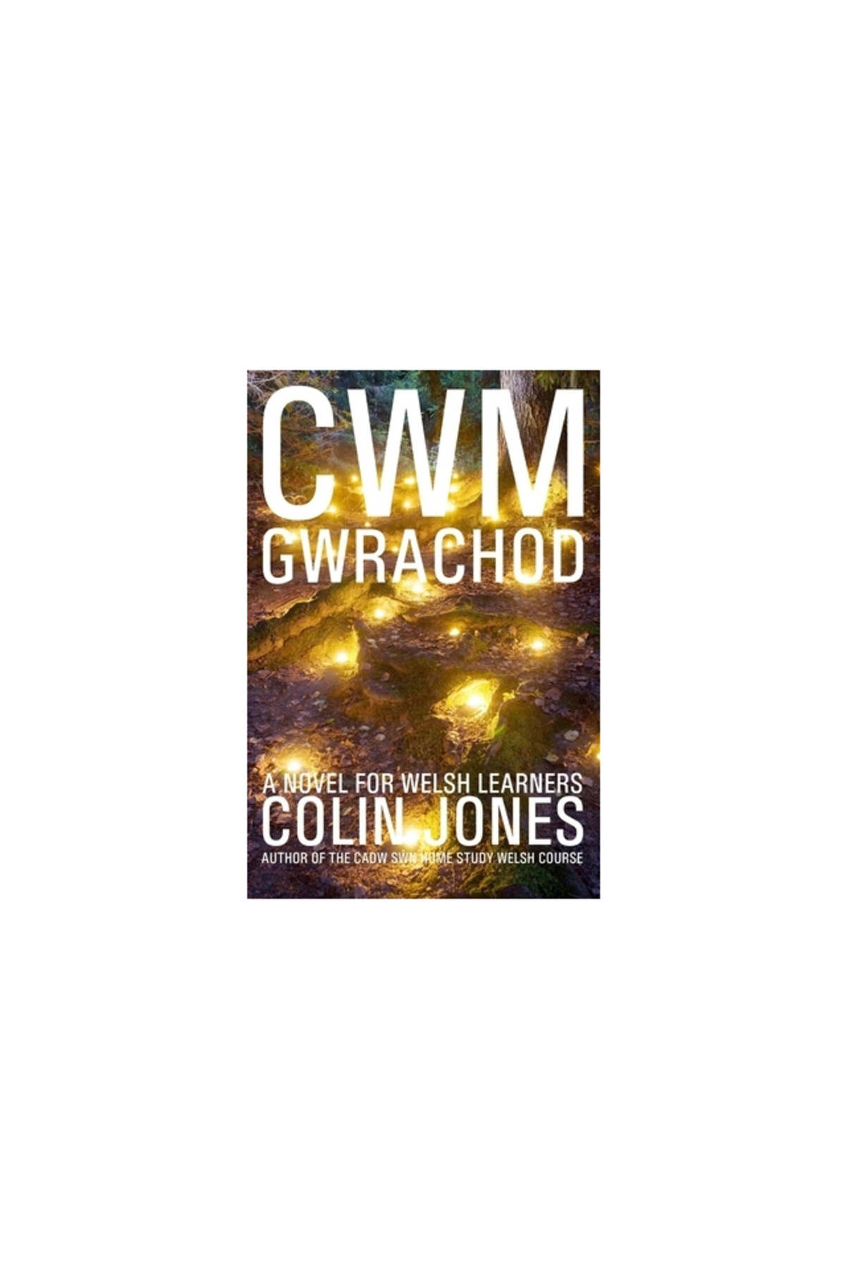 St Martins Pr Inc-Cwm Gwrachod: A Novel for Welsh Learners 1
