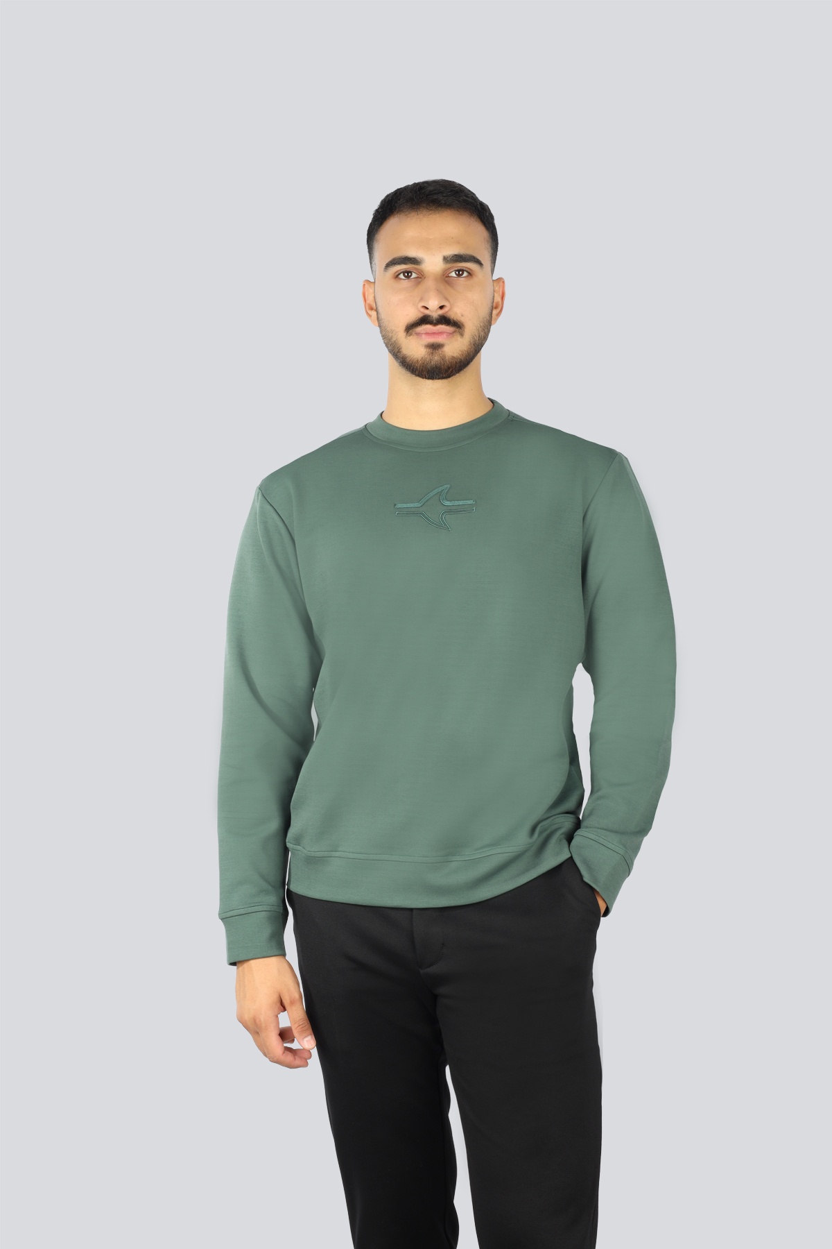 پال اند شارک سویشرت مردانه آستین بلند یقه گرد معمولی سایز سبز با گلدوزی لوگوی کوسه 15311865-513